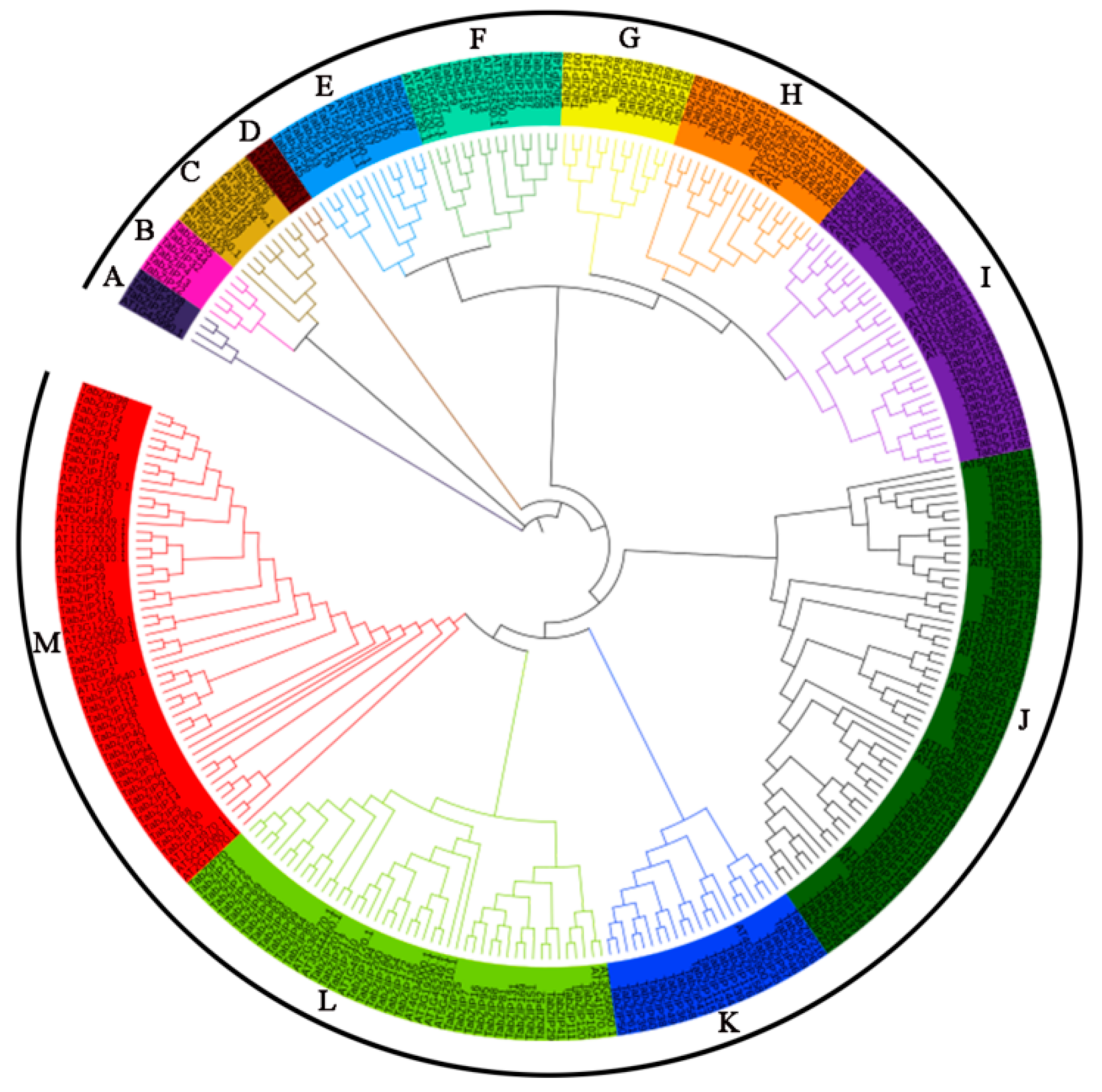 Ijms 23 02351 g001 550