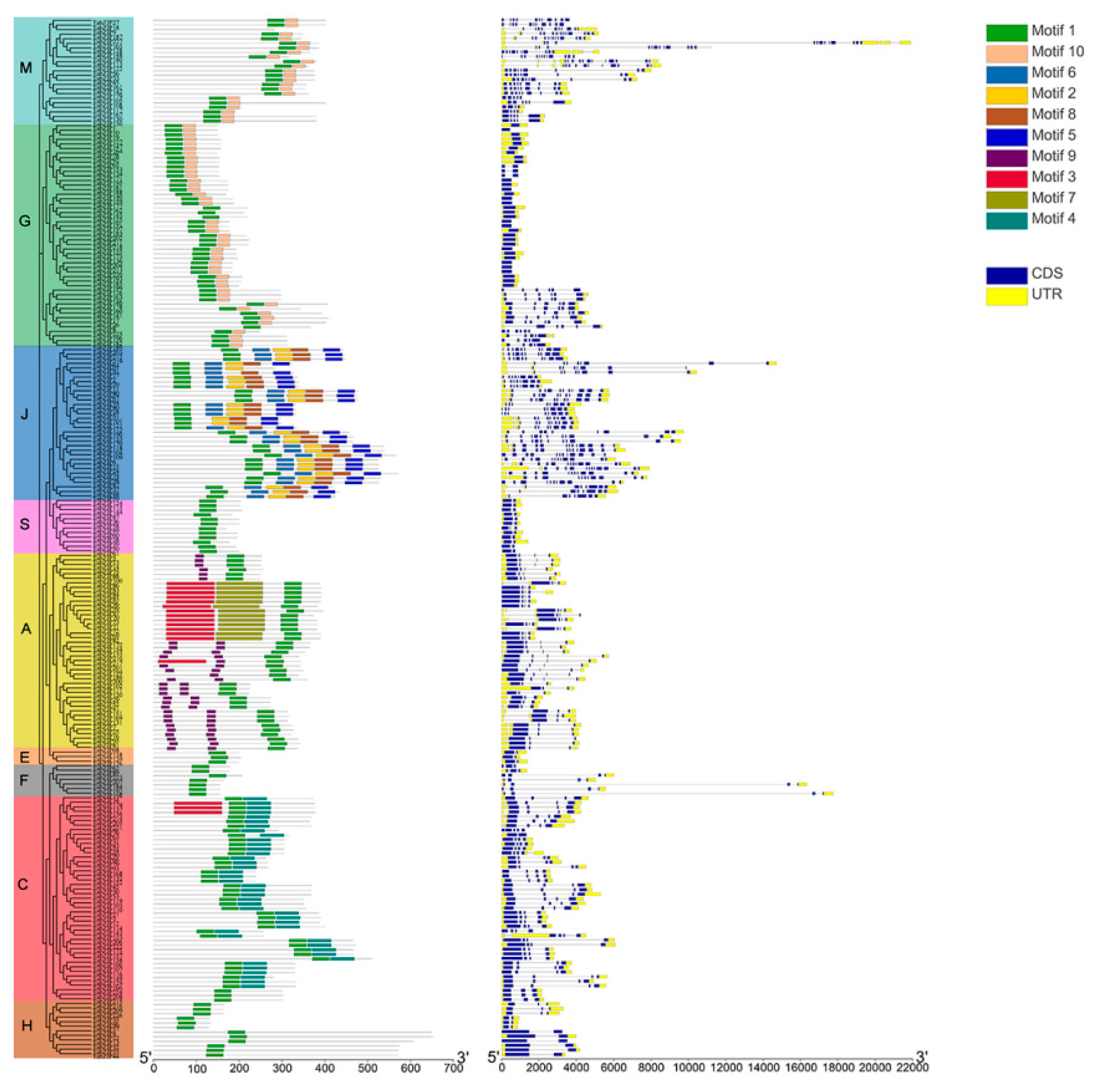 Ijms 23 02351 g002 550