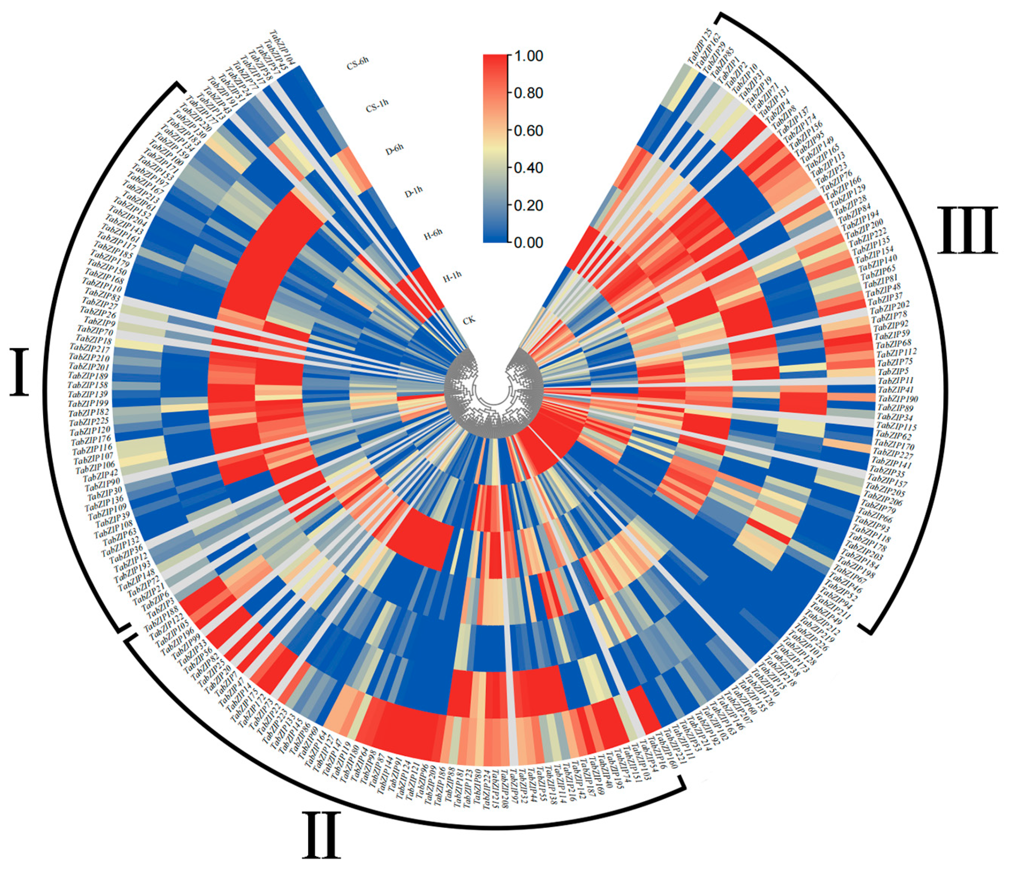 Ijms 23 02351 g006 550