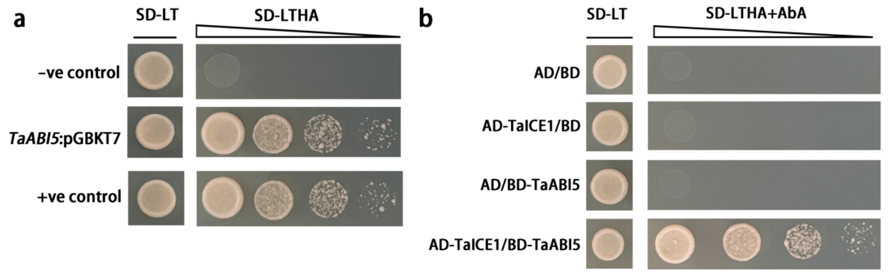 Ijms 23 02351 g010 550