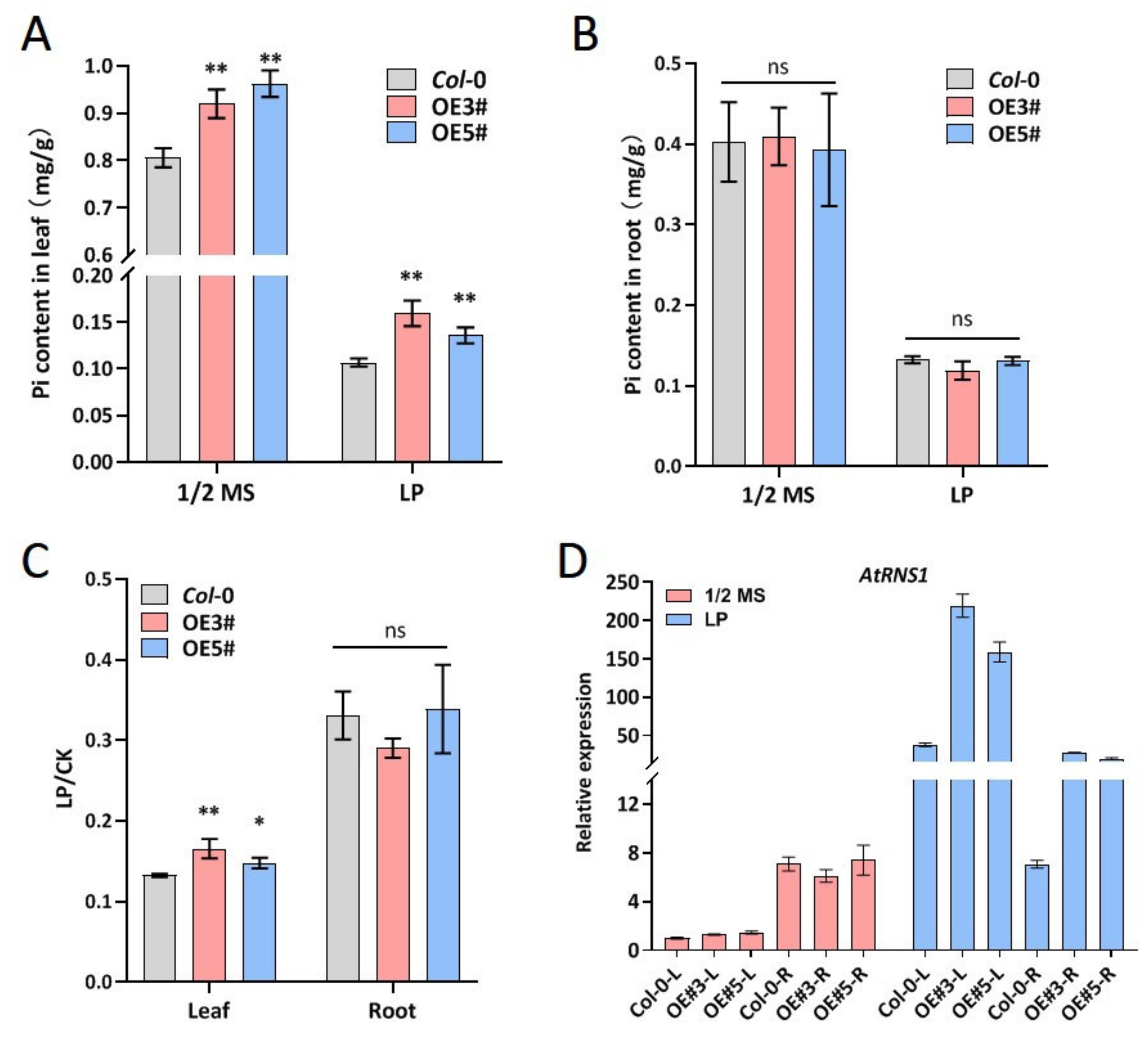 Ijms 23 02361 g005 Ijms 23 02361 g005