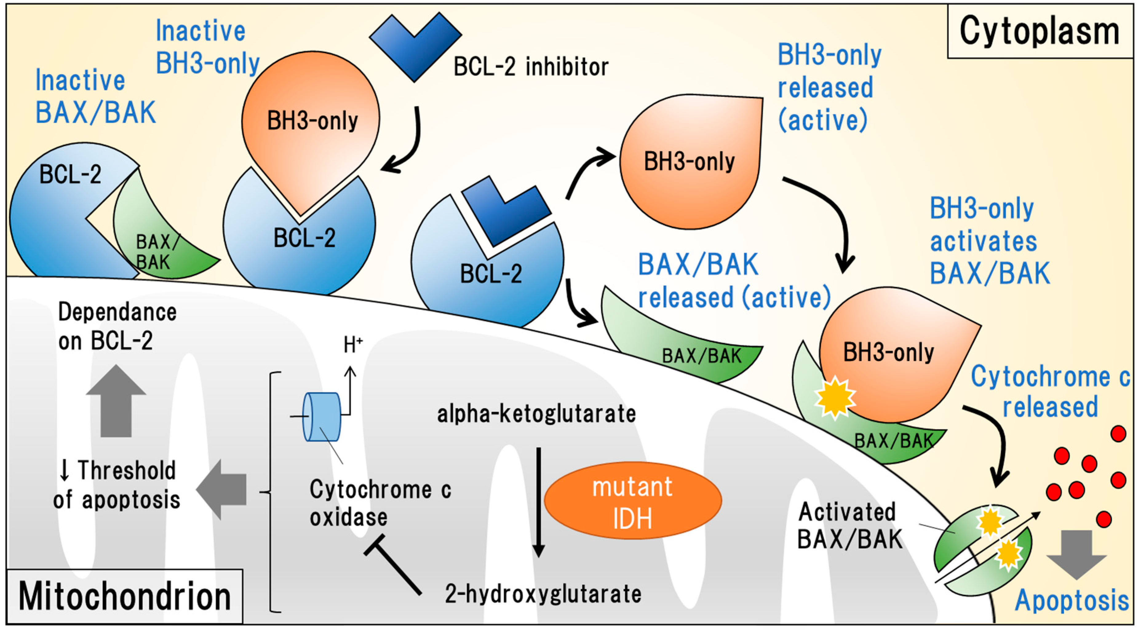 Recent Progress of Small Molecule Menin–MLL Interaction Inhibitors as  Therapeutic Agents for Acute Leukemia