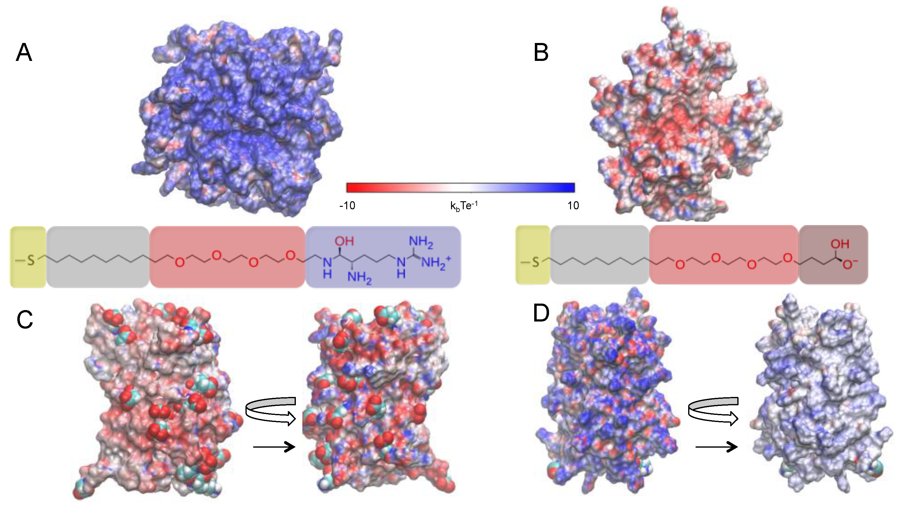 Ijms 23 02368 g001 550