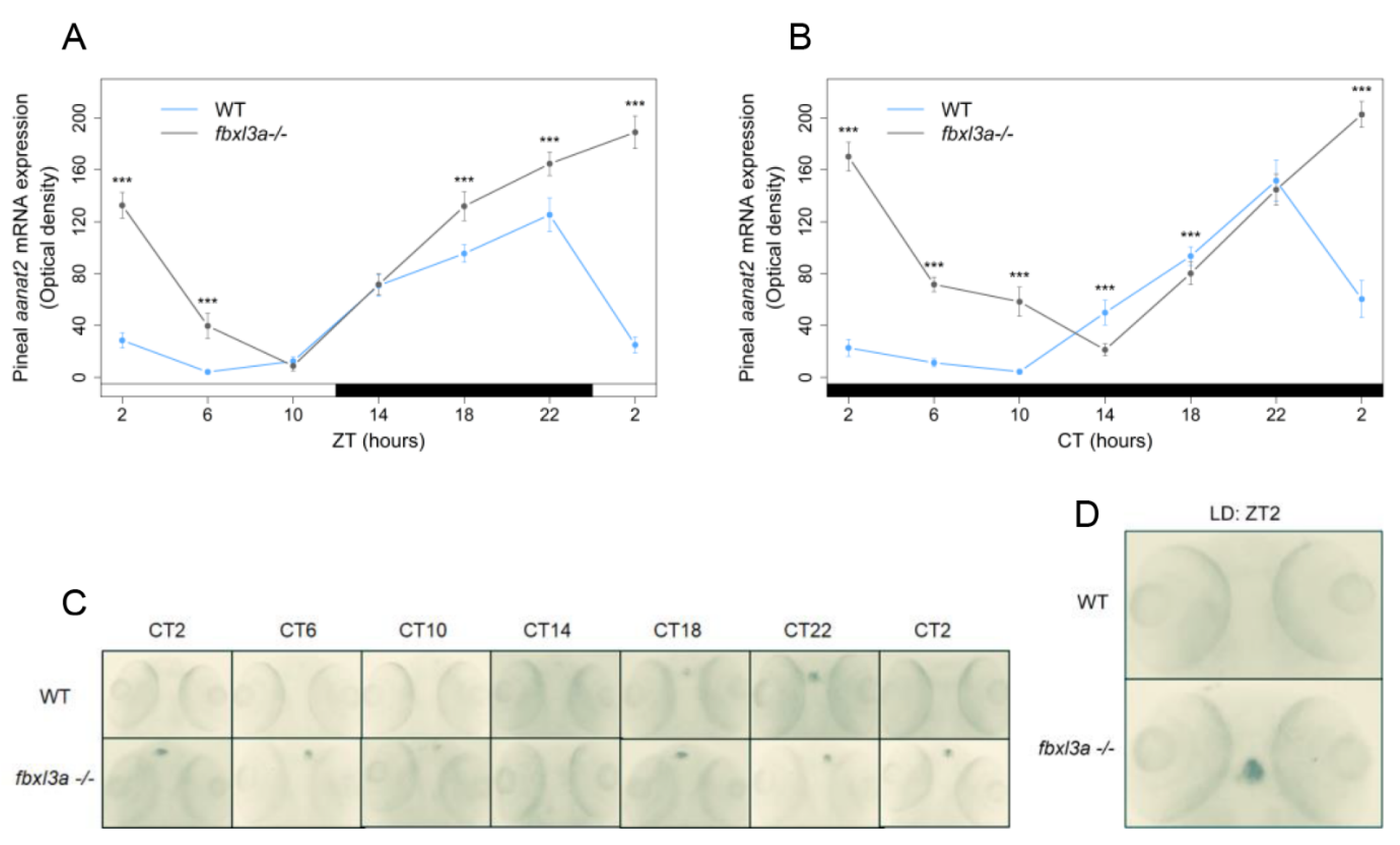Ijms 23 02373 g006 550