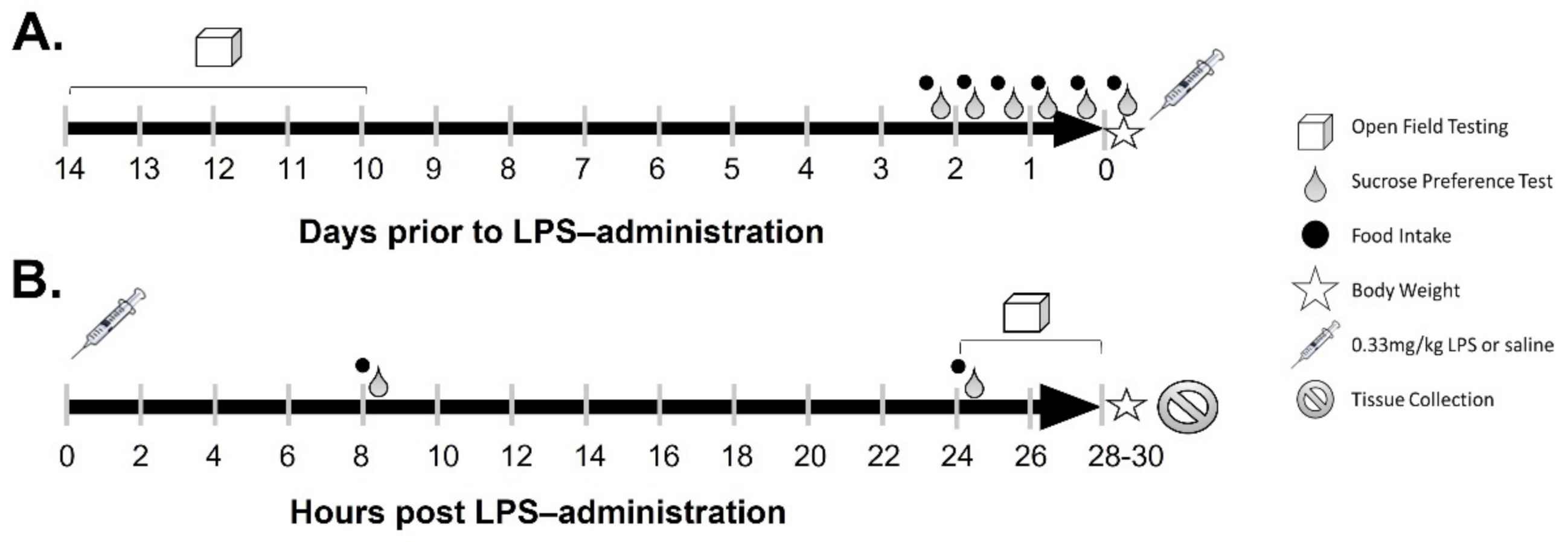 Ijms 23 02377 g001 550