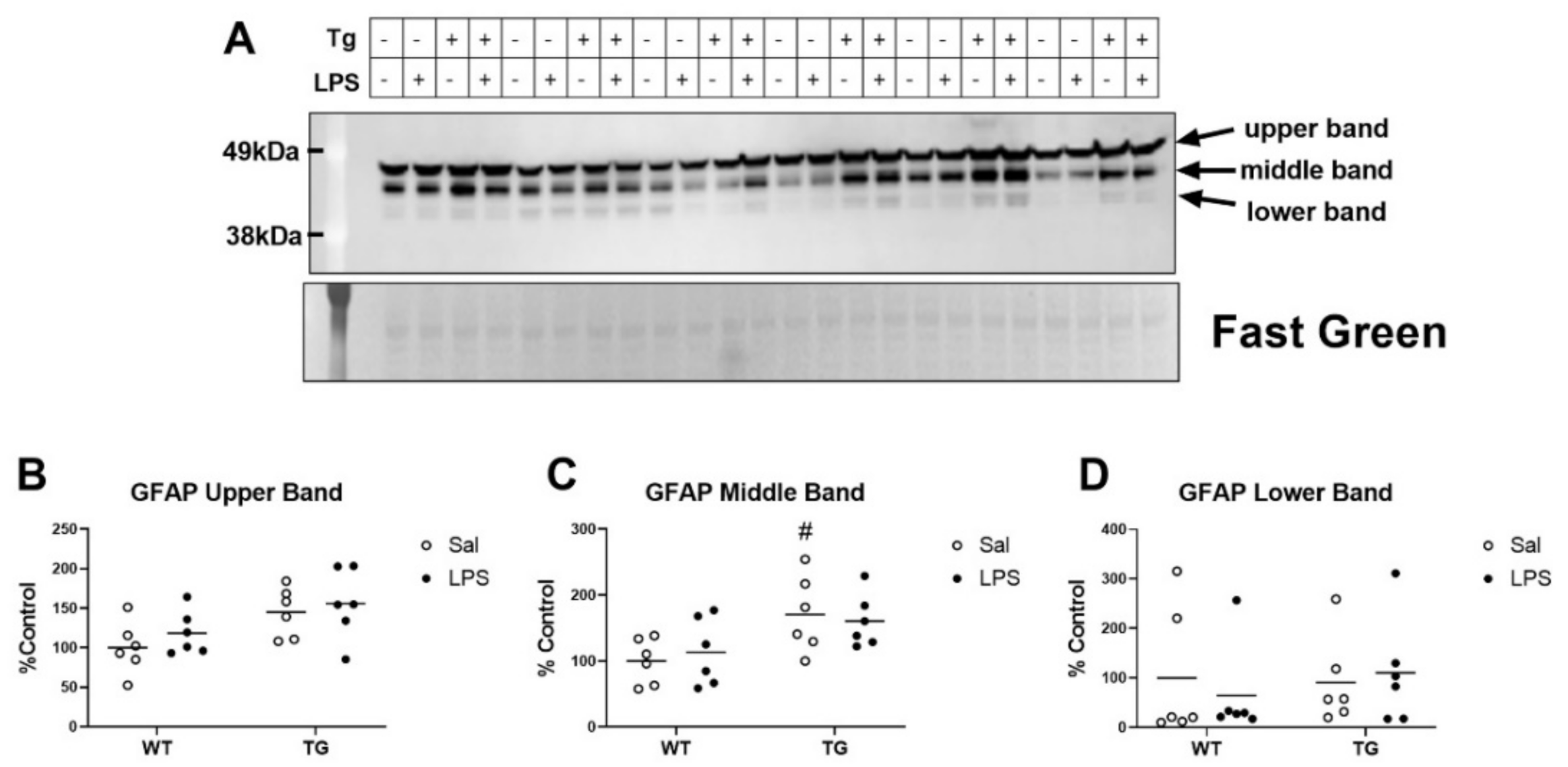 Ijms 23 02377 g007 550