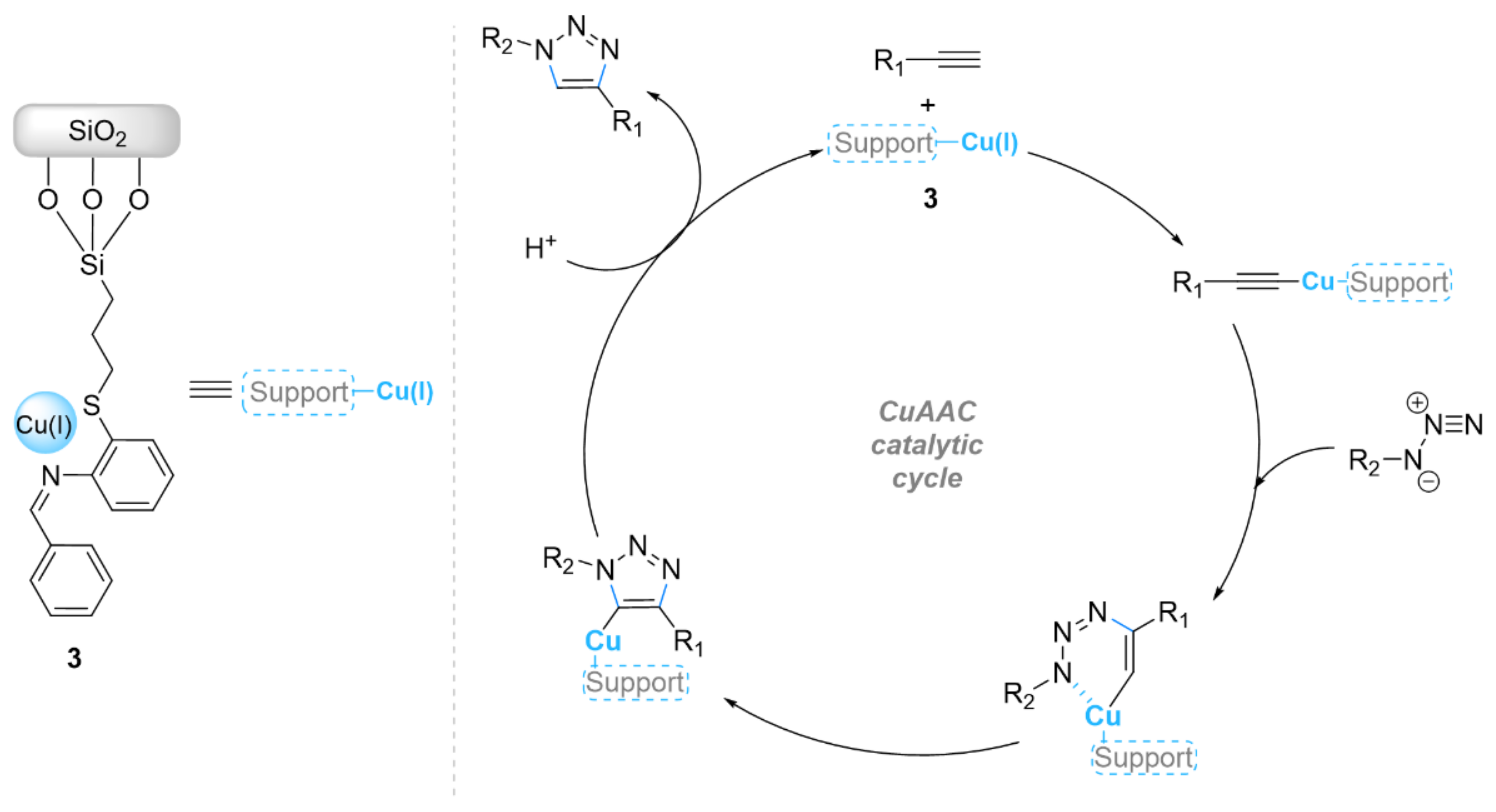 Ijms 23 02383 sch003 550