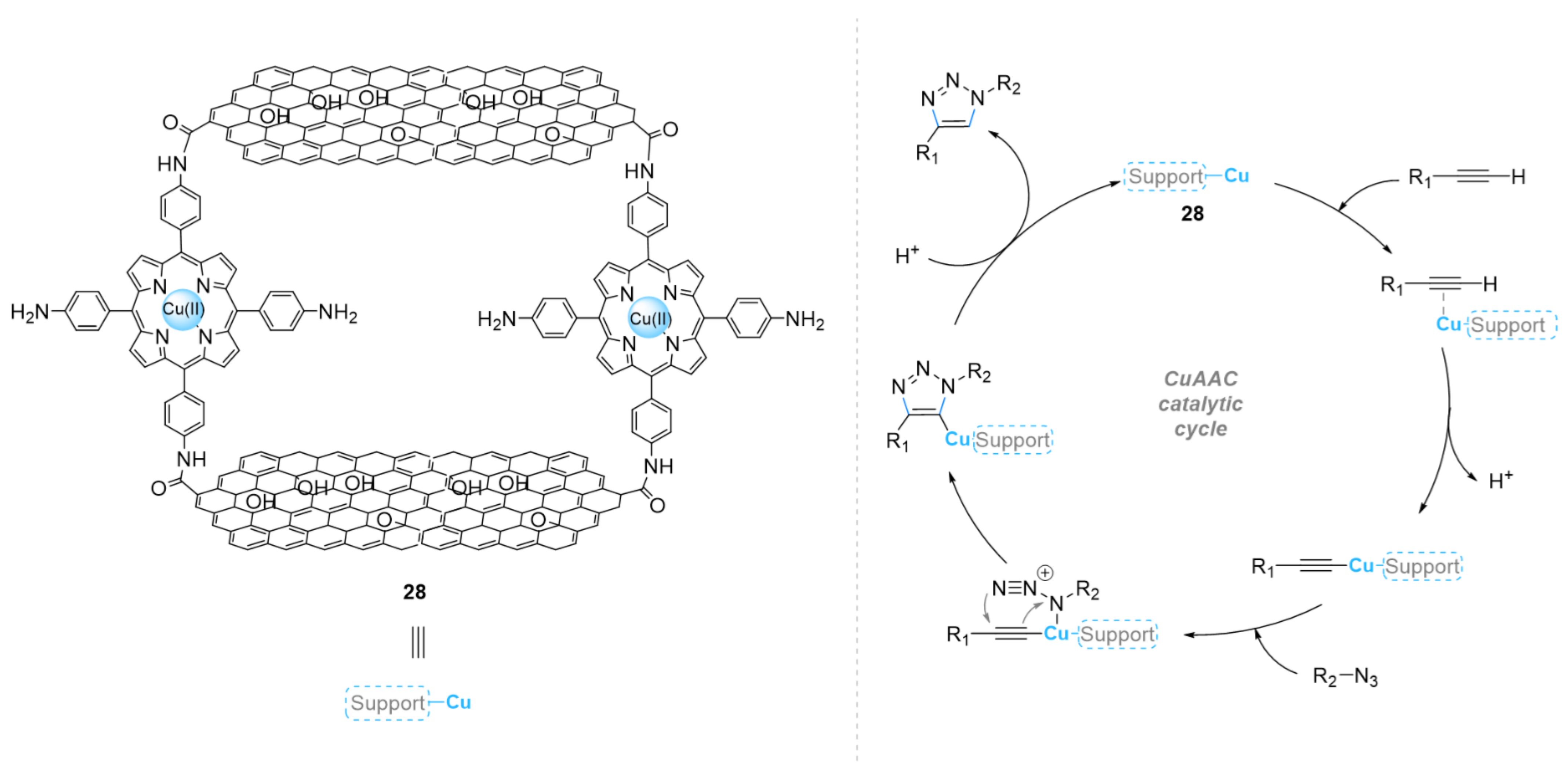 Ijms 23 02383 sch011 550