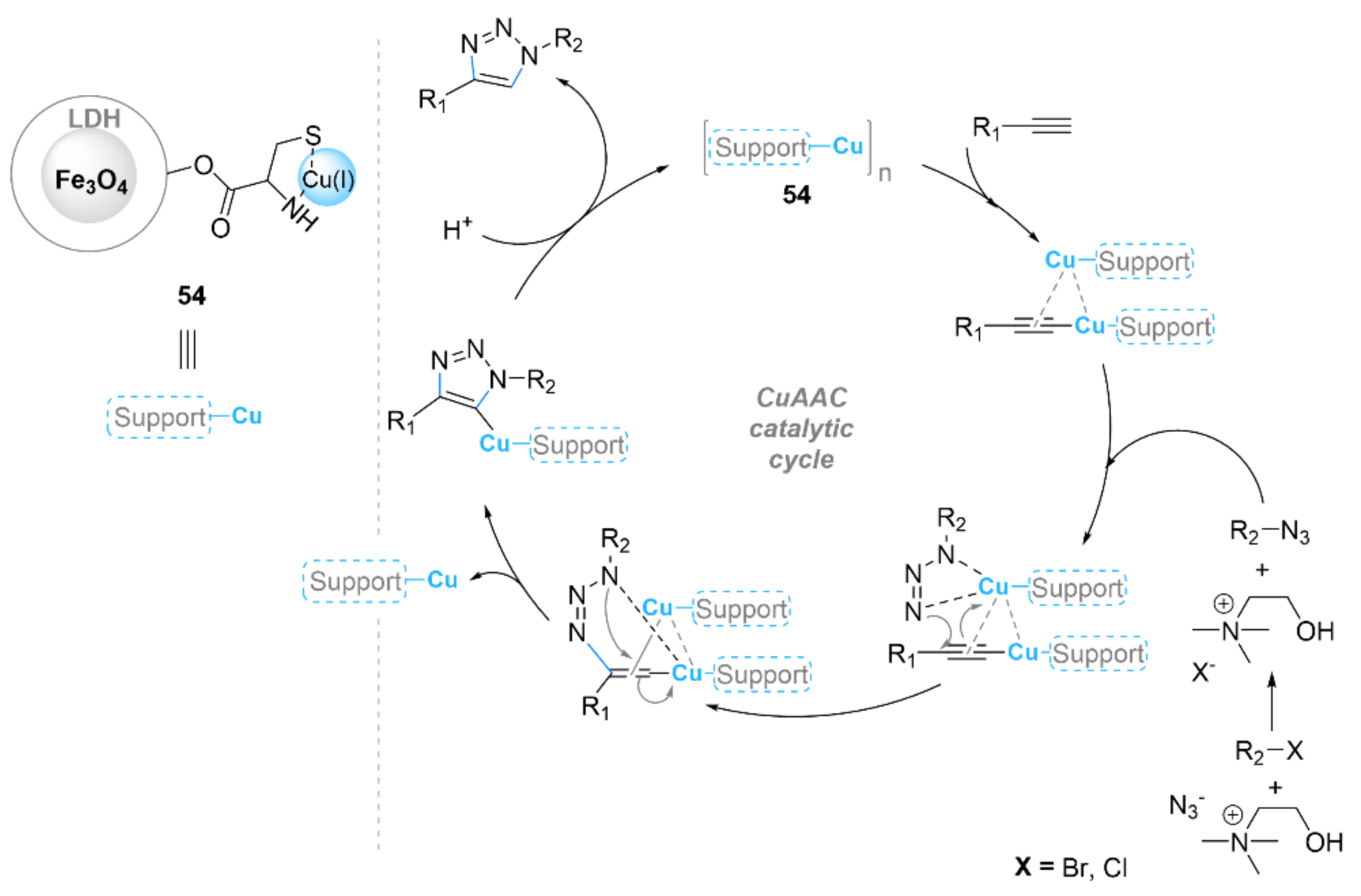 Ijms 23 02383 sch018 550