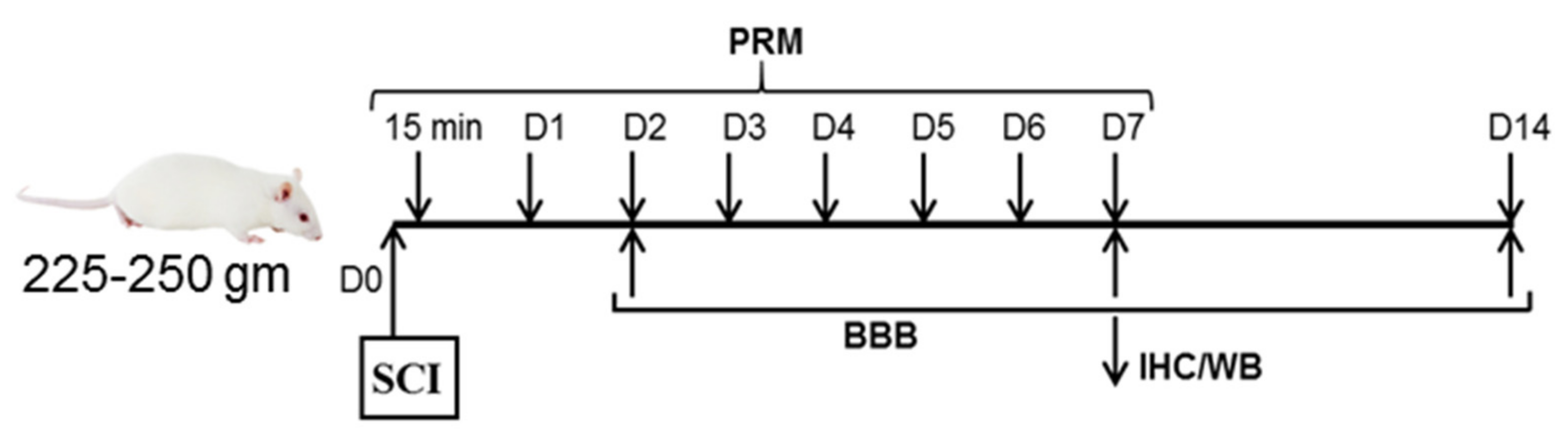 Ijms 23 02384 g001 Ijms 23 02384 g001