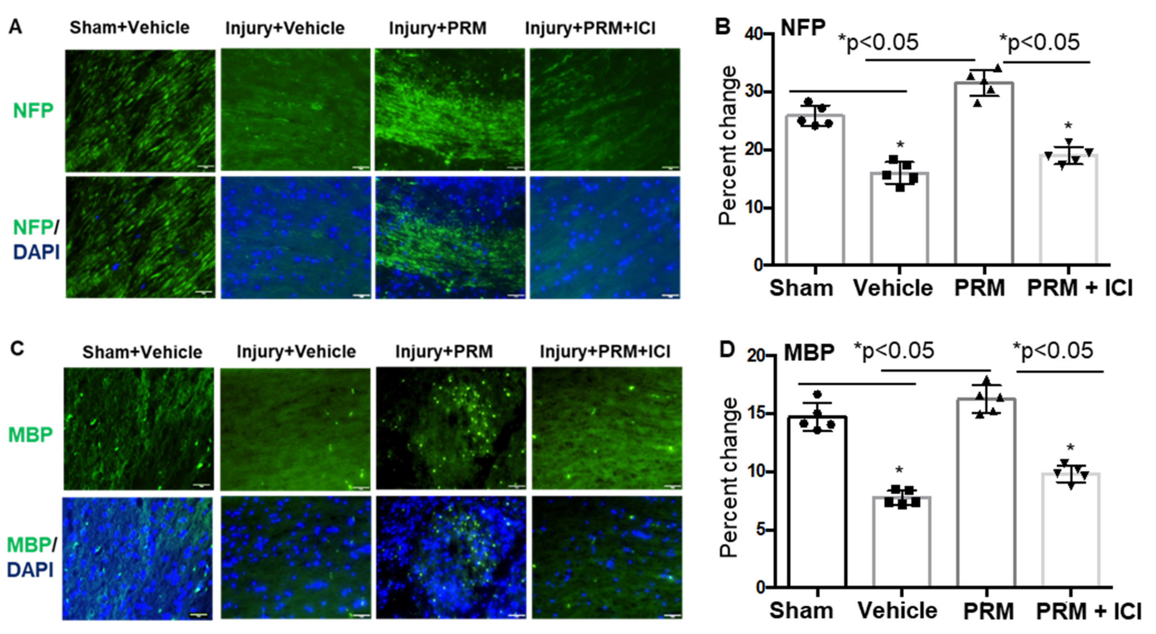 Ijms 23 02384 g003 Ijms 23 02384 g003