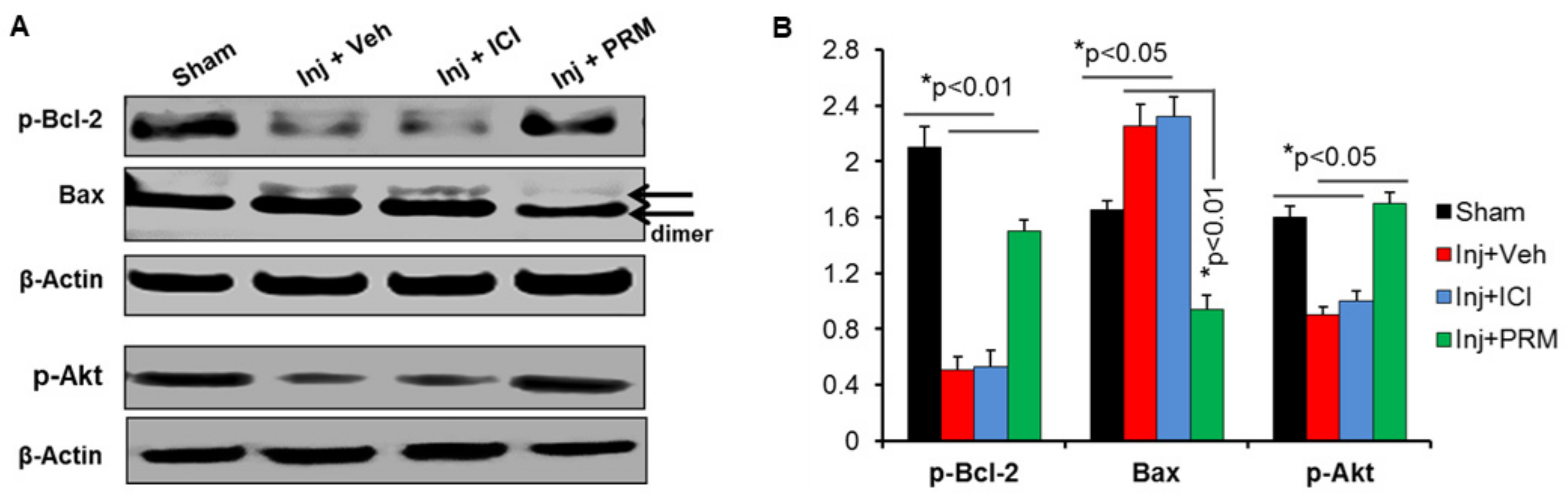 Ijms 23 02384 g005 Ijms 23 02384 g005