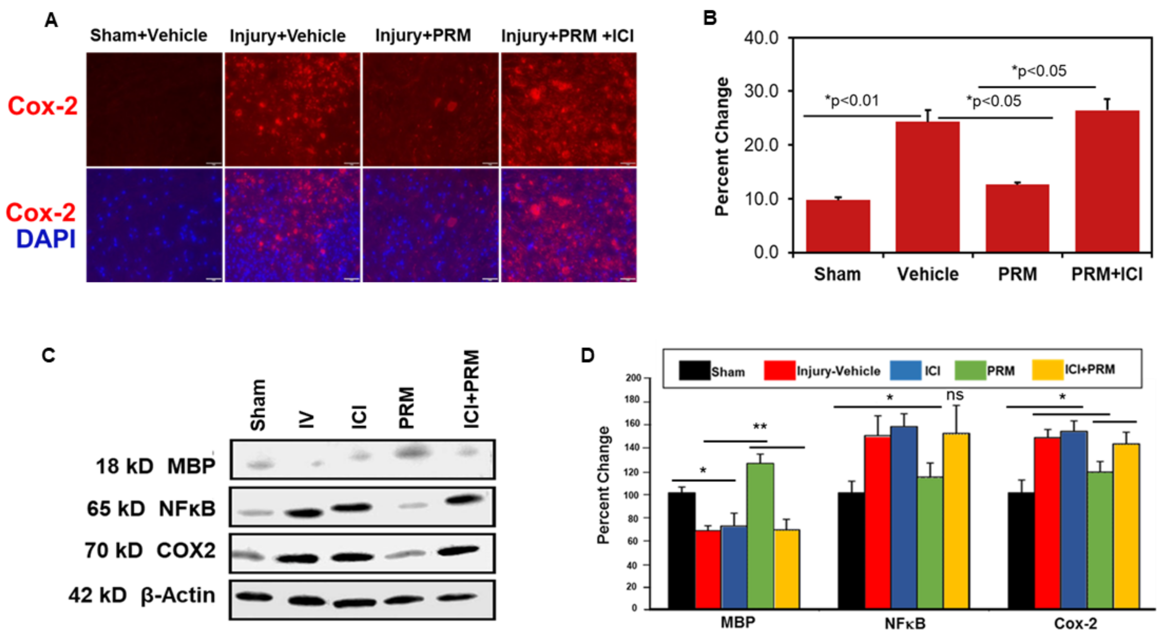 Ijms 23 02384 g006 Ijms 23 02384 g006
