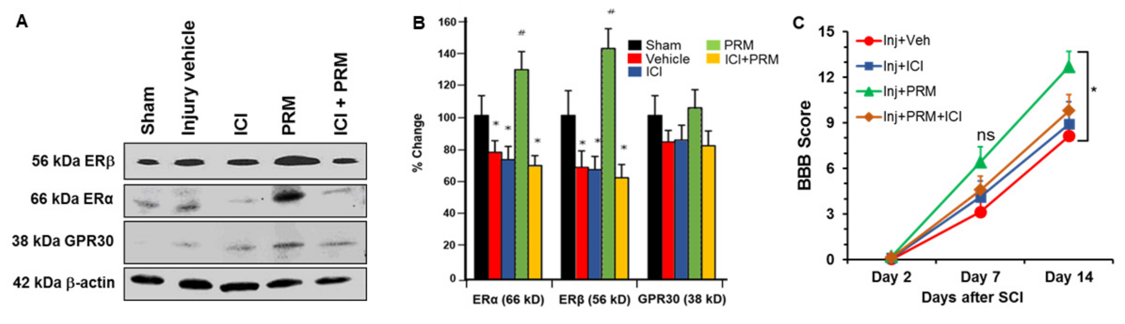 Ijms 23 02384 g009 Ijms 23 02384 g009