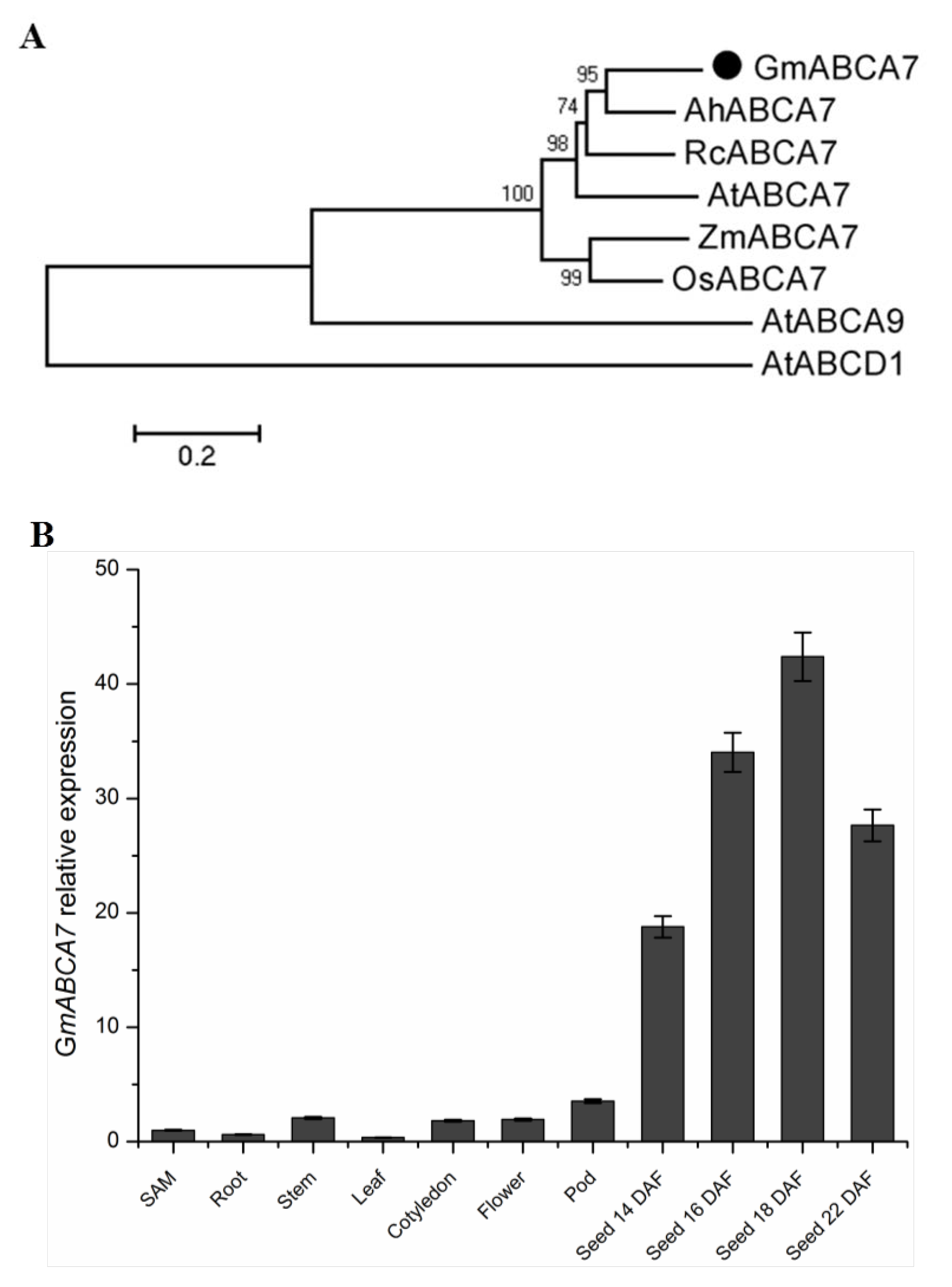 Ijms 23 02389 g001 Ijms 23 02389 g001