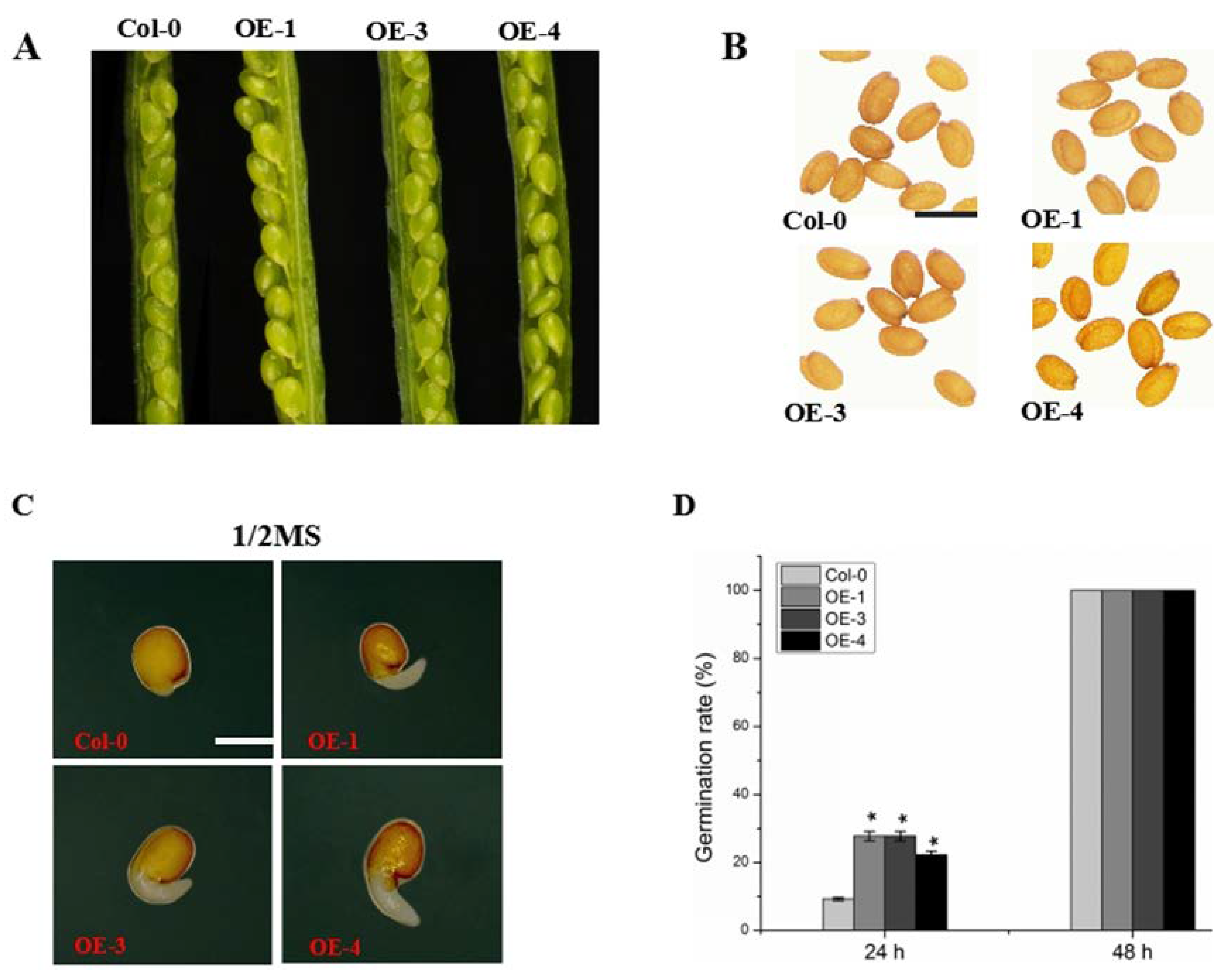 Ijms 23 02389 g003 Ijms 23 02389 g003