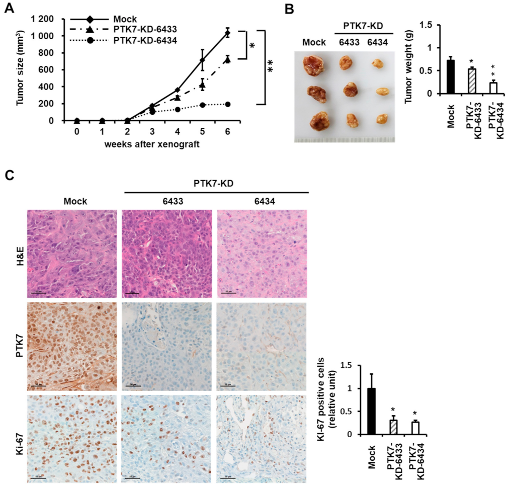 Ijms 23 02391 g005 Ijms 23 02391 g005