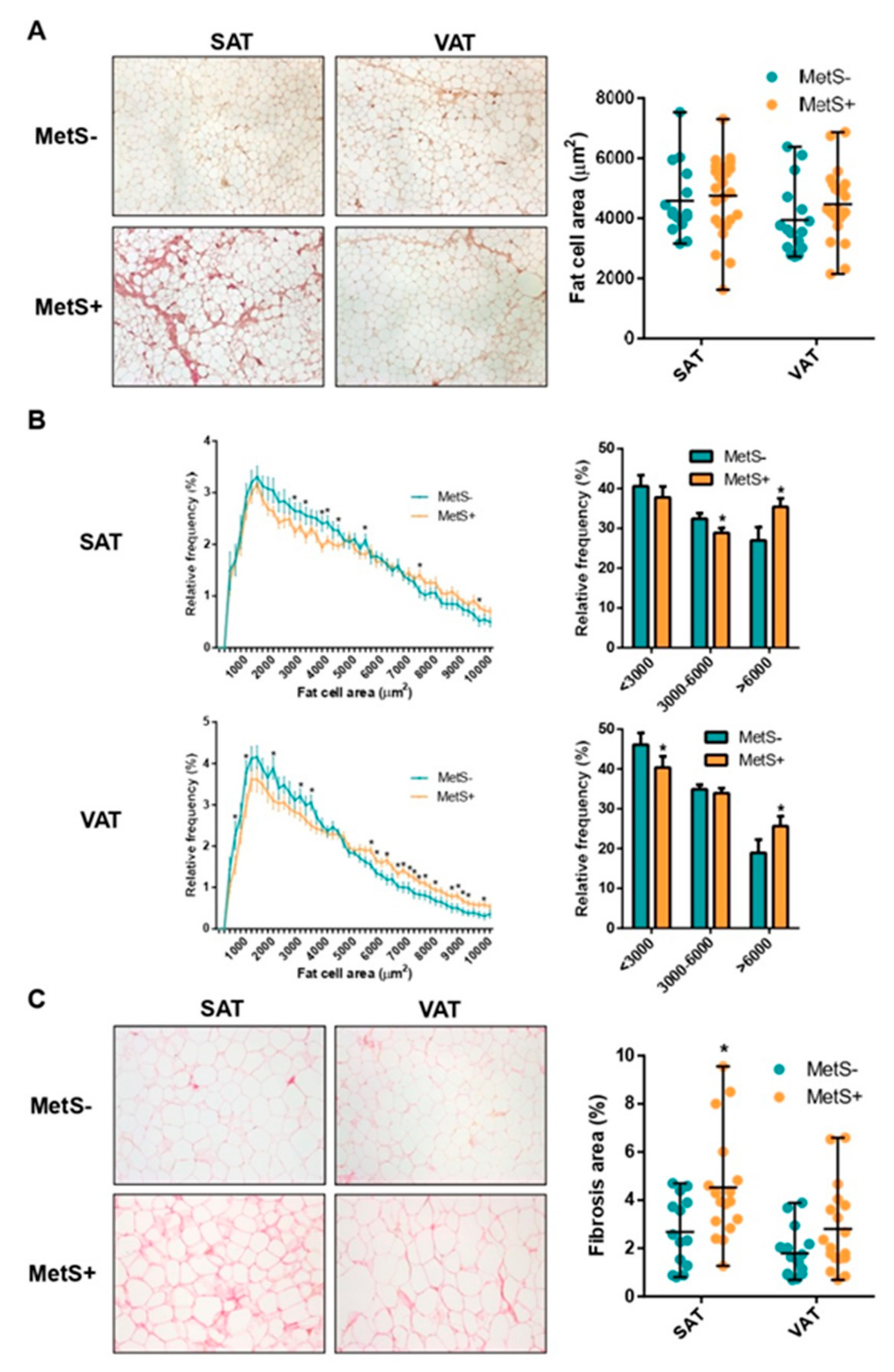 Ijms 23 02394 g001 550