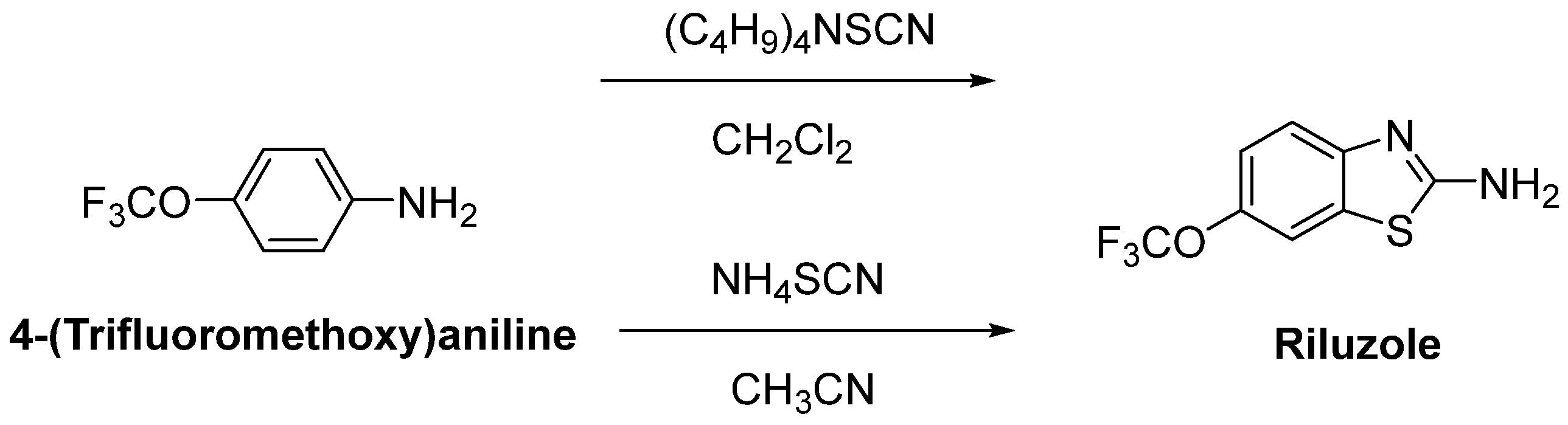Ijms 23 02400 g008 Ijms 23 02400 g008