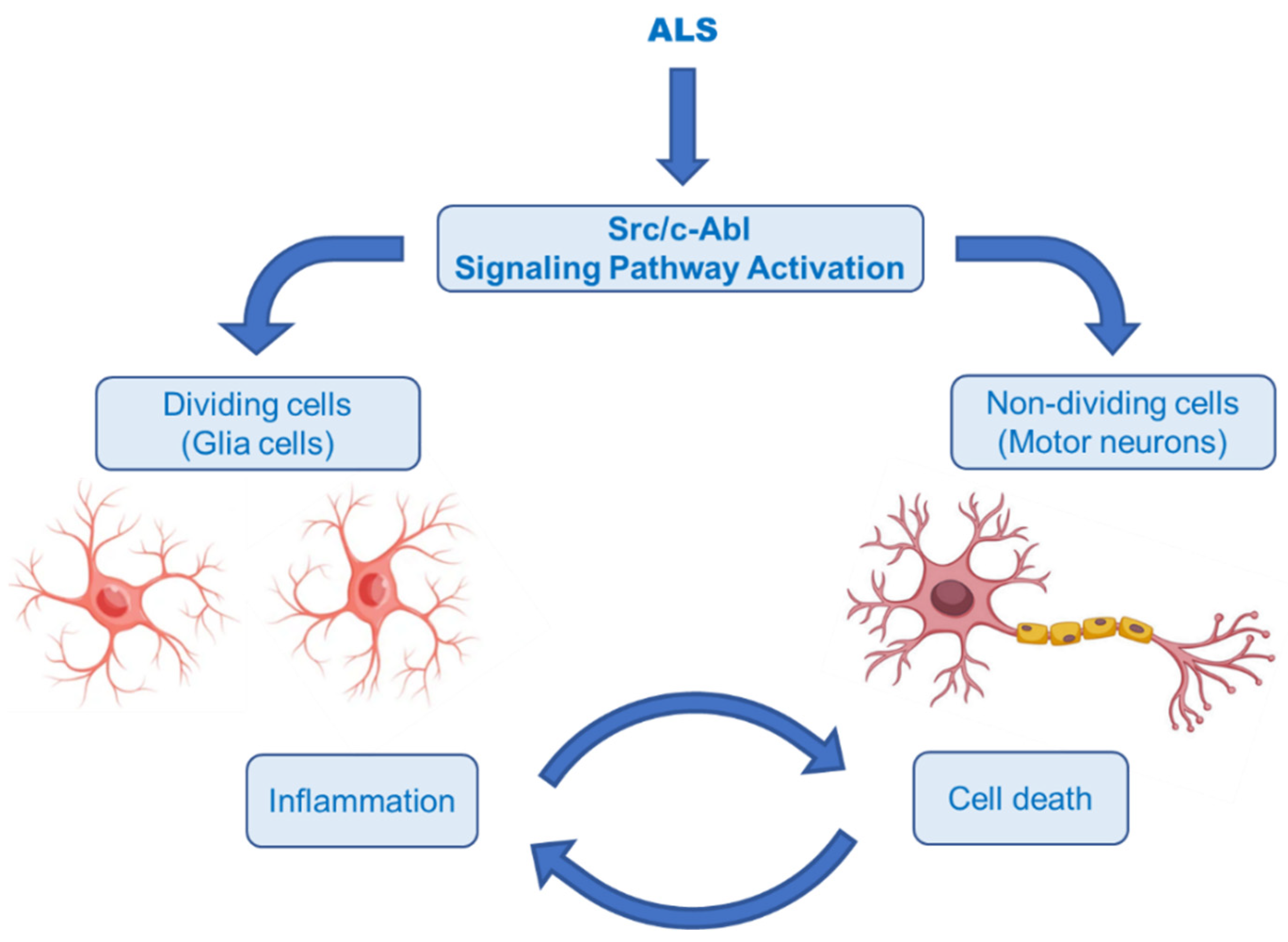 Ijms 23 02400 g010 Ijms 23 02400 g010