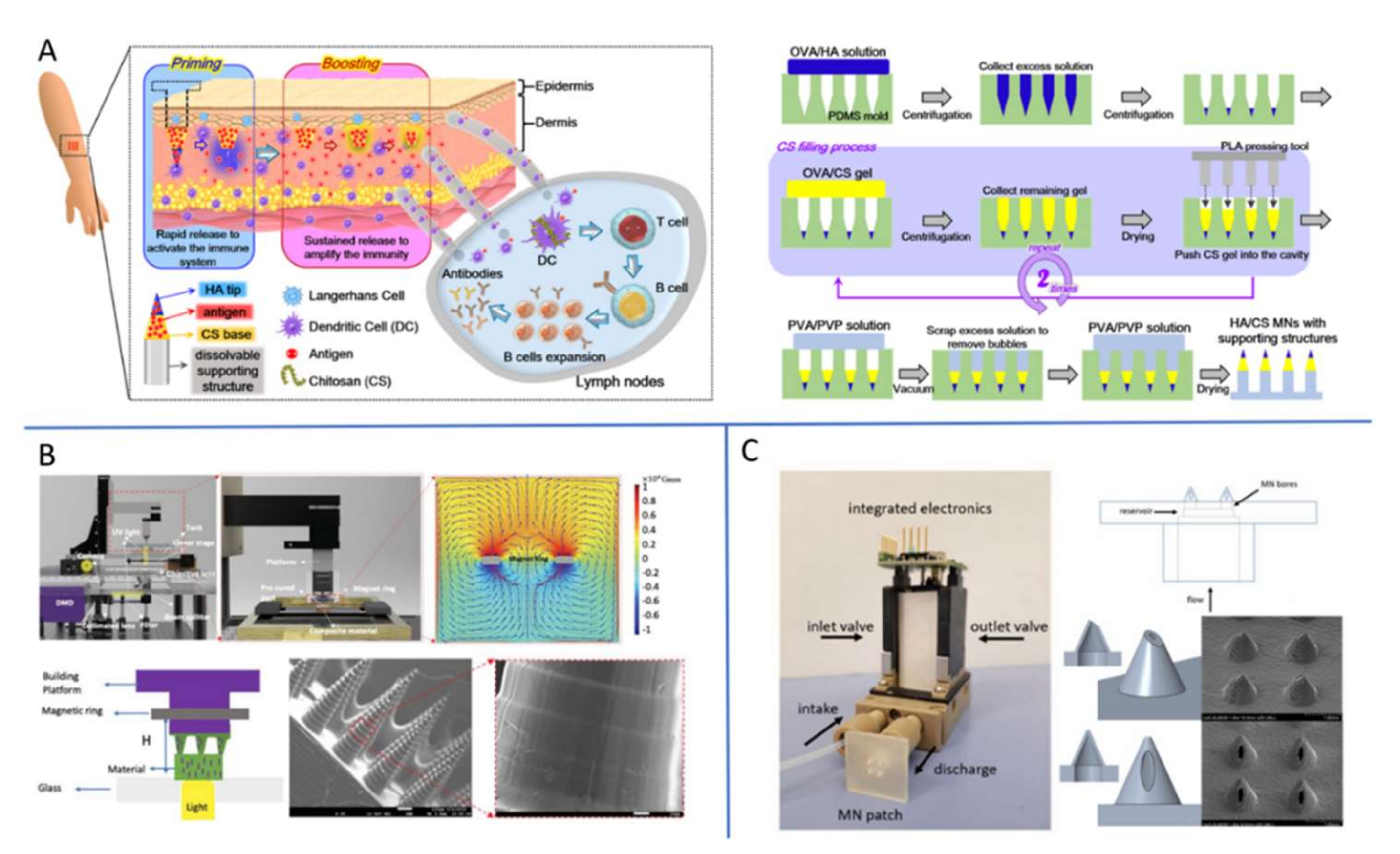 Ijms 23 02401 g002 Ijms 23 02401 g002