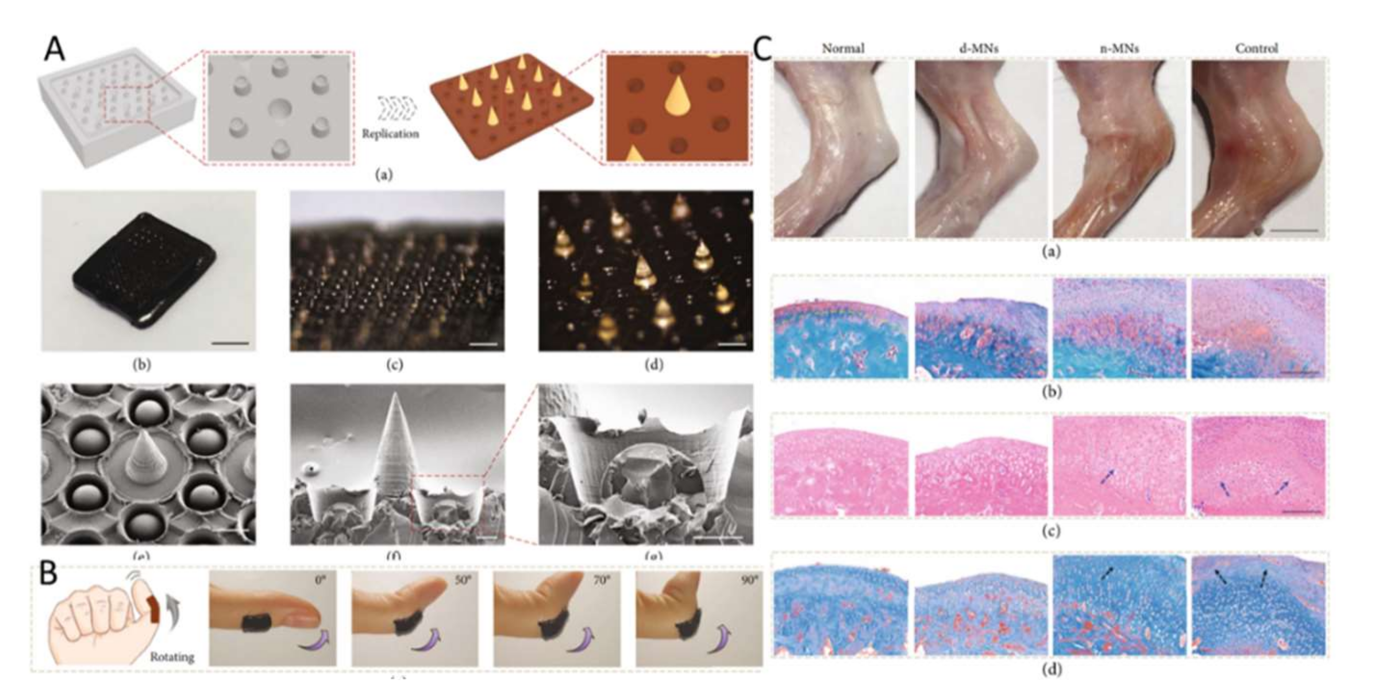 Ijms 23 02401 g004 Ijms 23 02401 g004