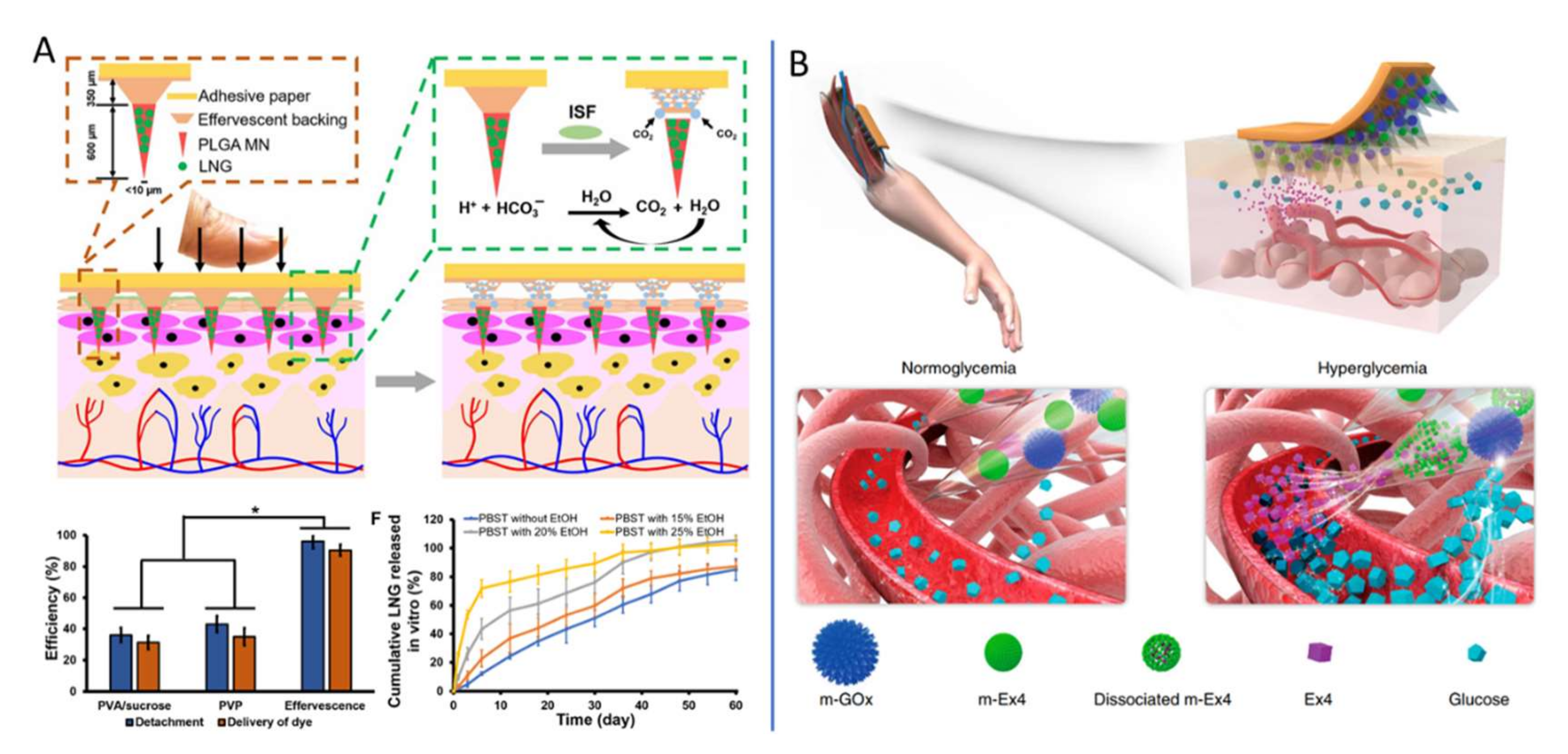 Ijms 23 02401 g006 Ijms 23 02401 g006