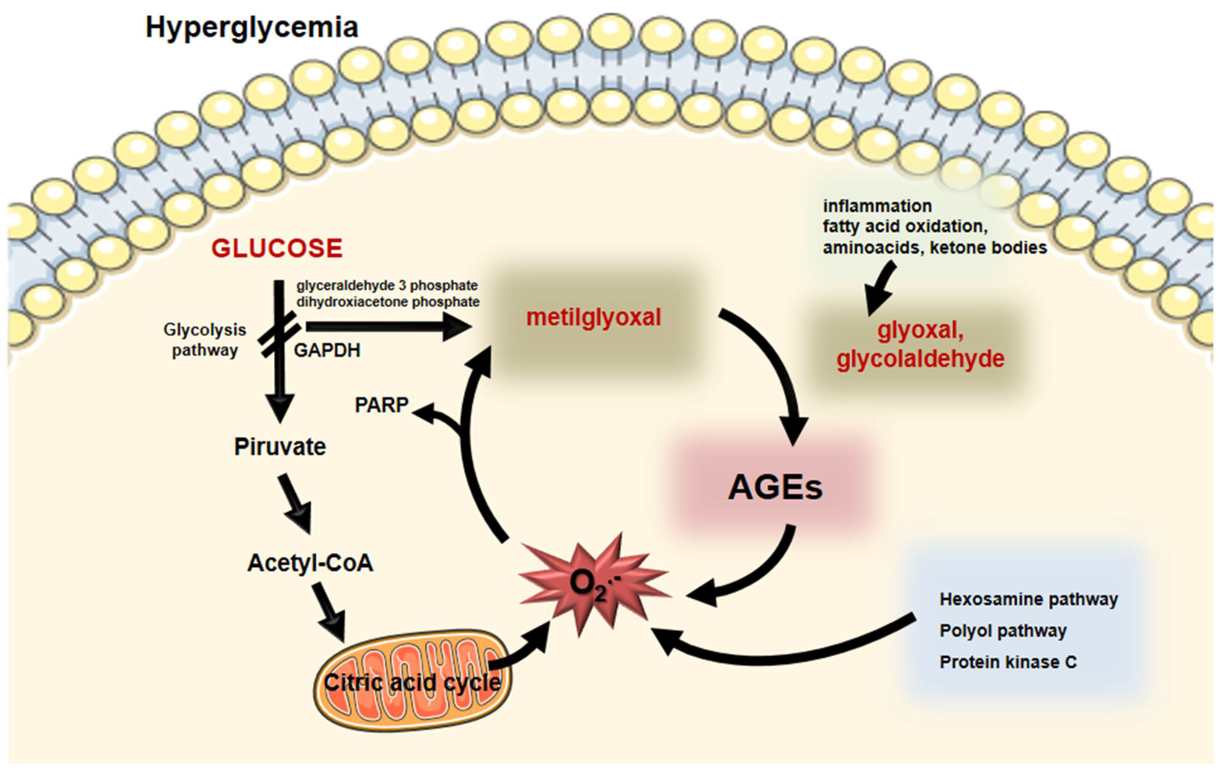 Ijms 23 02404 g002 Ijms 23 02404 g002