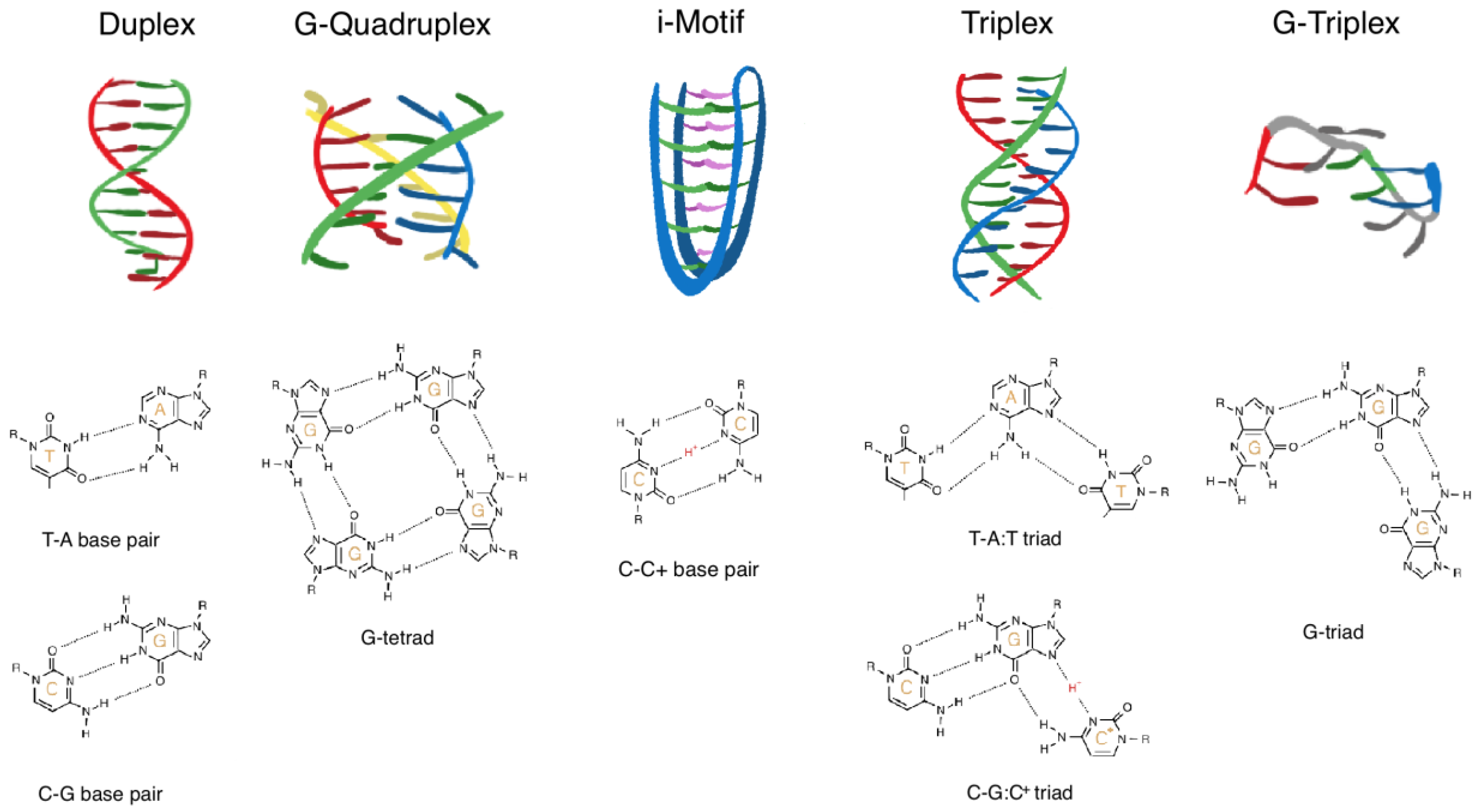 Ijms 23 02407 g001 Ijms 23 02407 g001