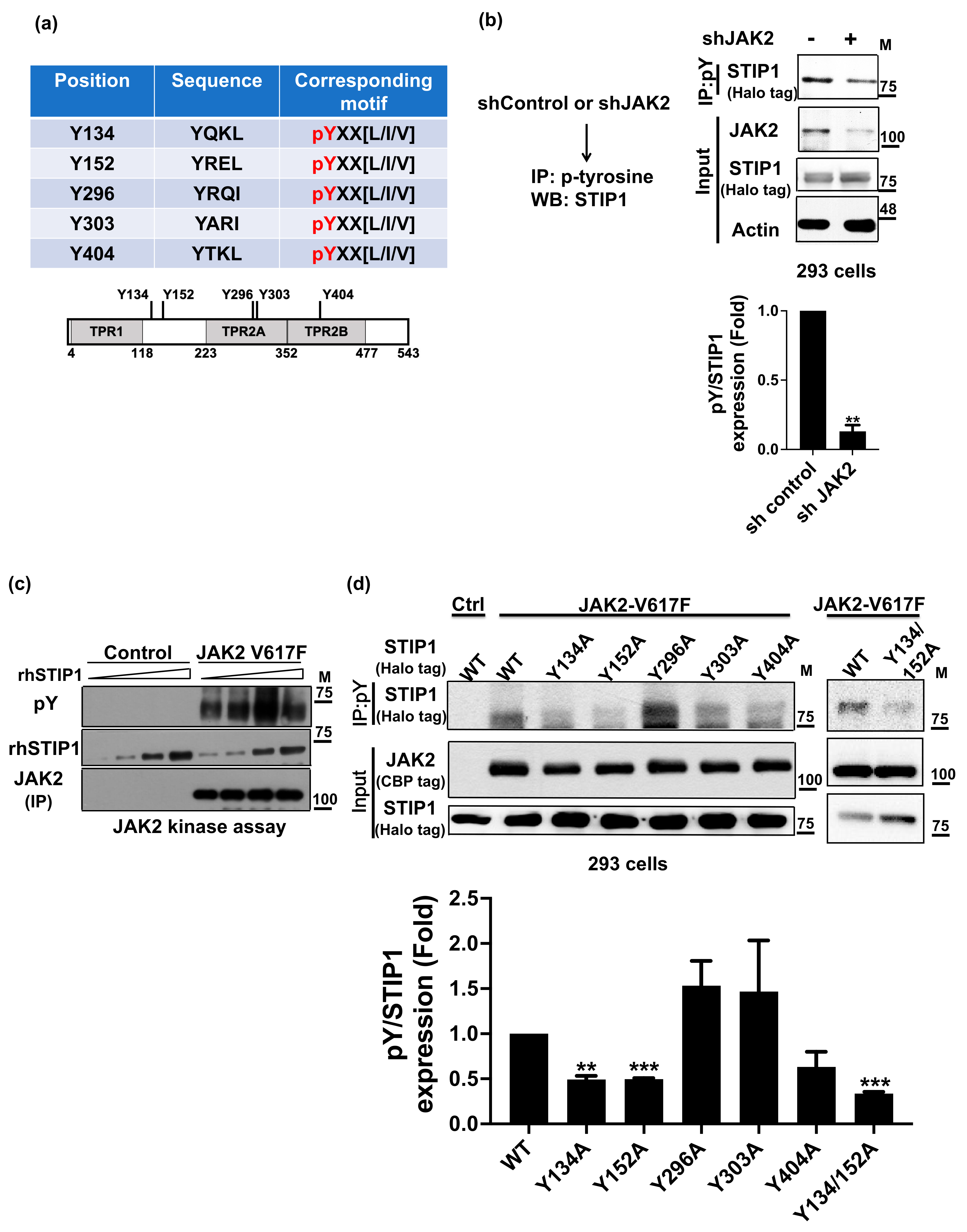 Ijms 23 02420 g001 Ijms 23 02420 g001