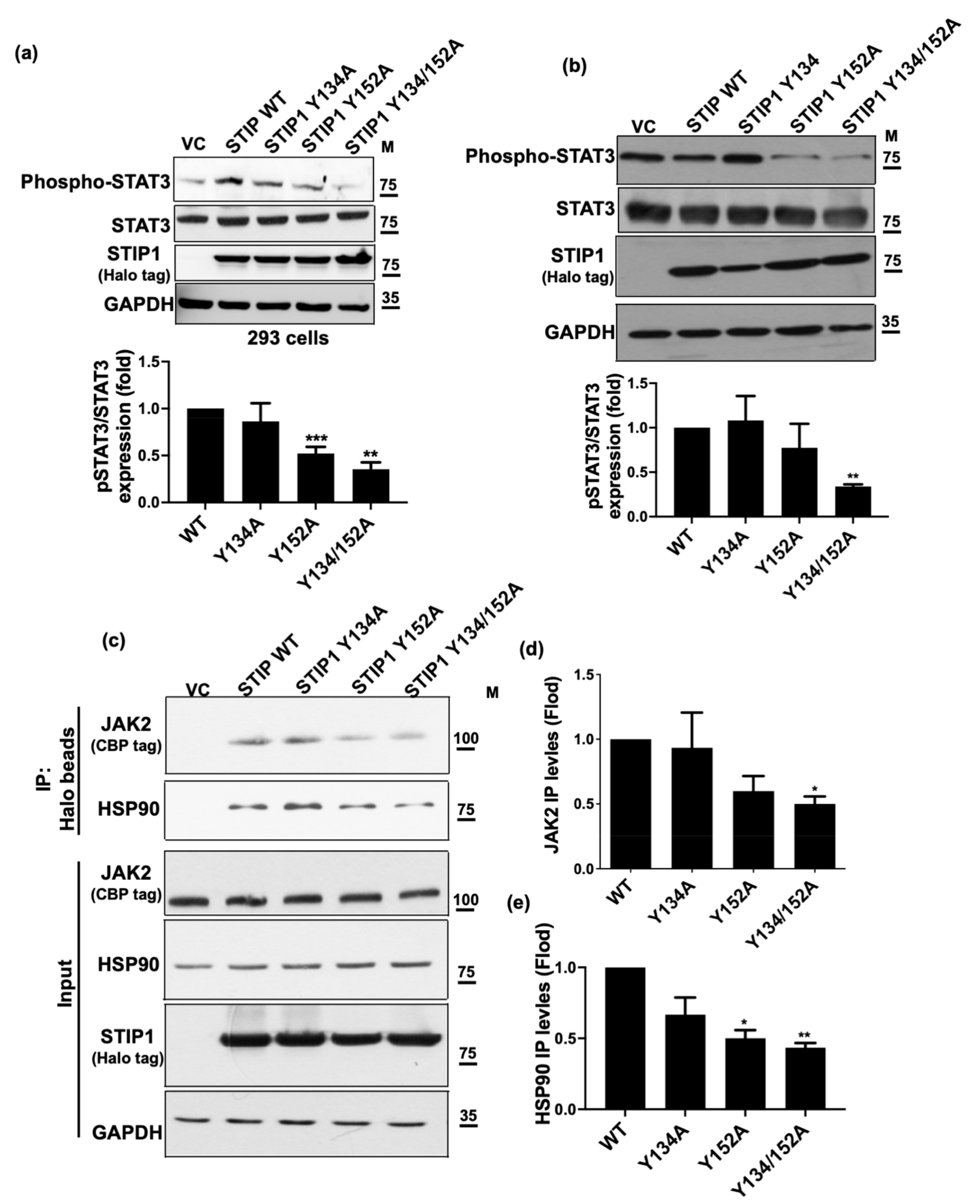 Ijms 23 02420 g002 Ijms 23 02420 g002