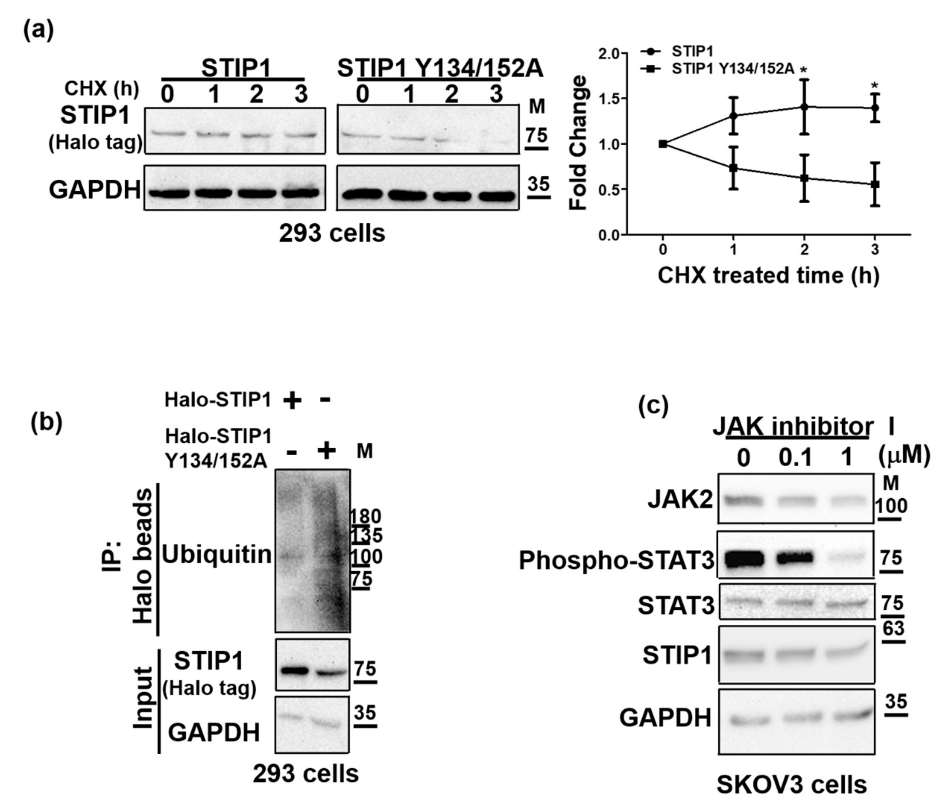 Ijms 23 02420 g003 Ijms 23 02420 g003