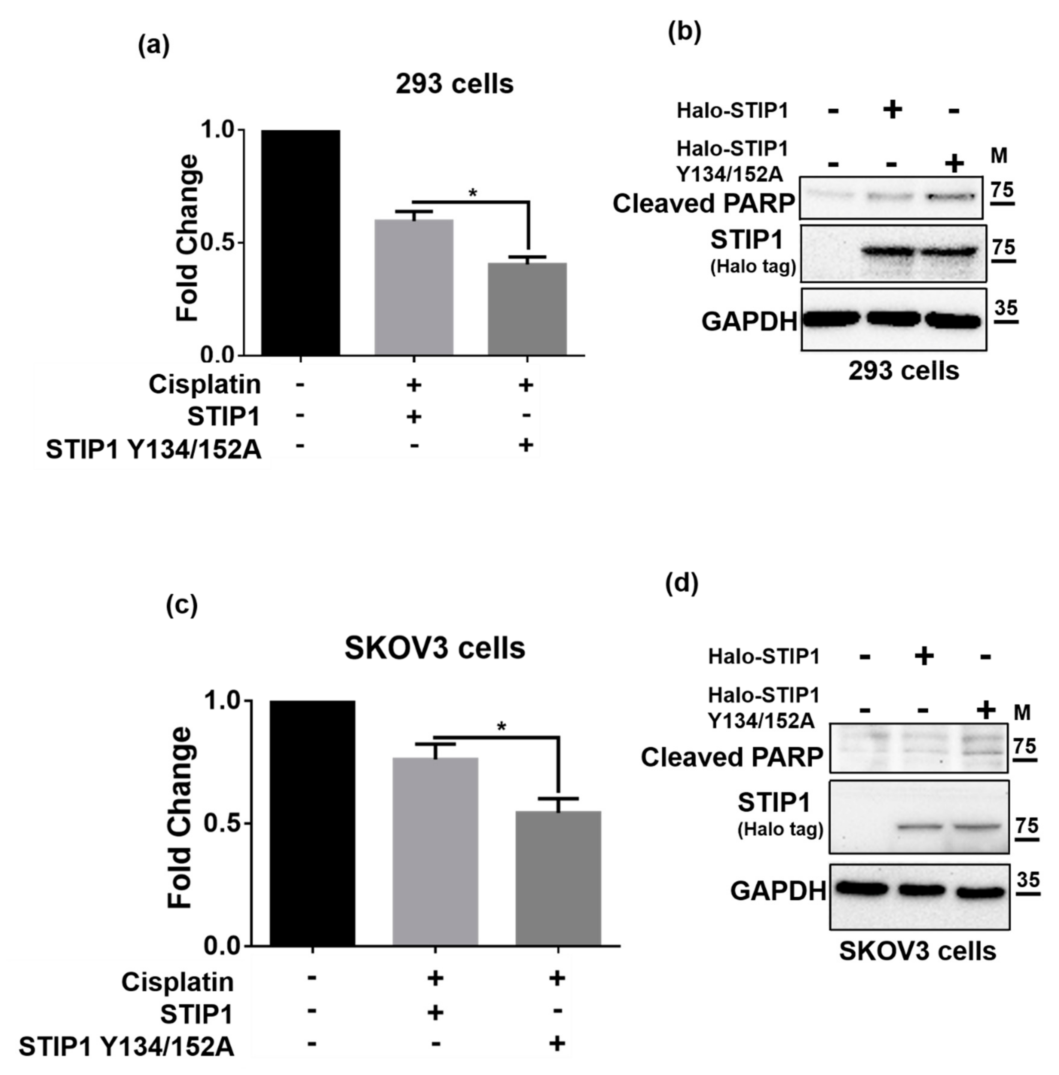 Ijms 23 02420 g004 Ijms 23 02420 g004