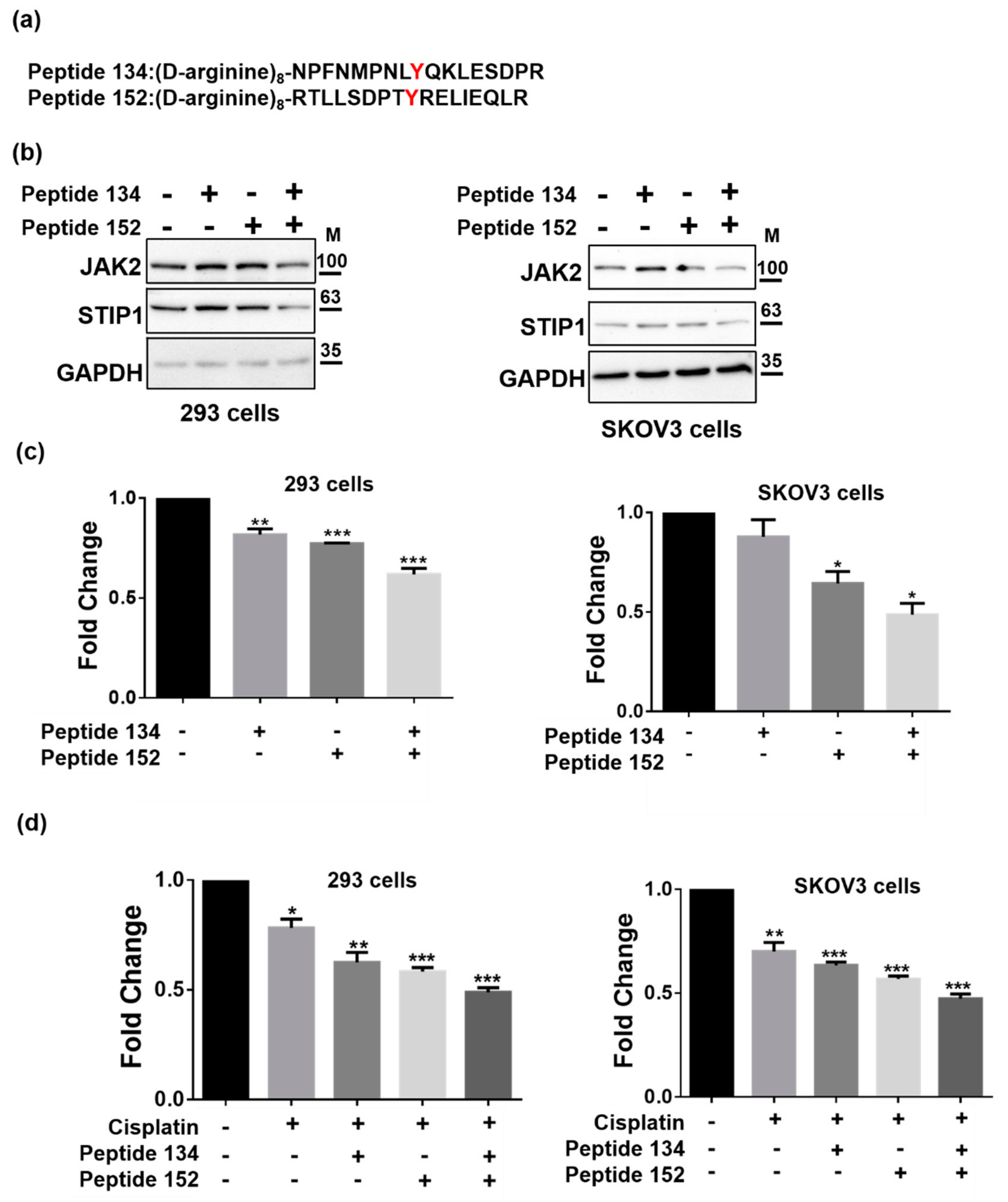 Ijms 23 02420 g005 Ijms 23 02420 g005
