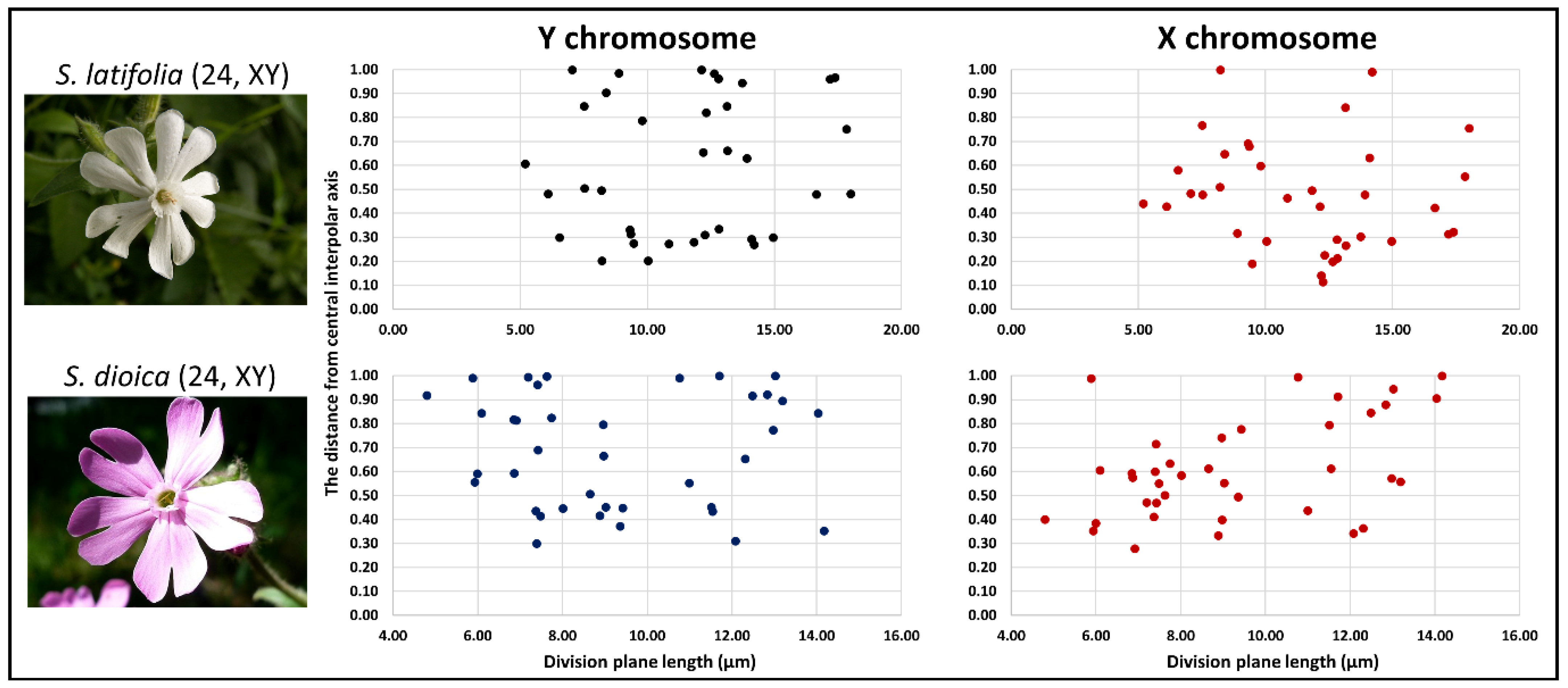 Ijms 23 02422 g002 Ijms 23 02422 g002