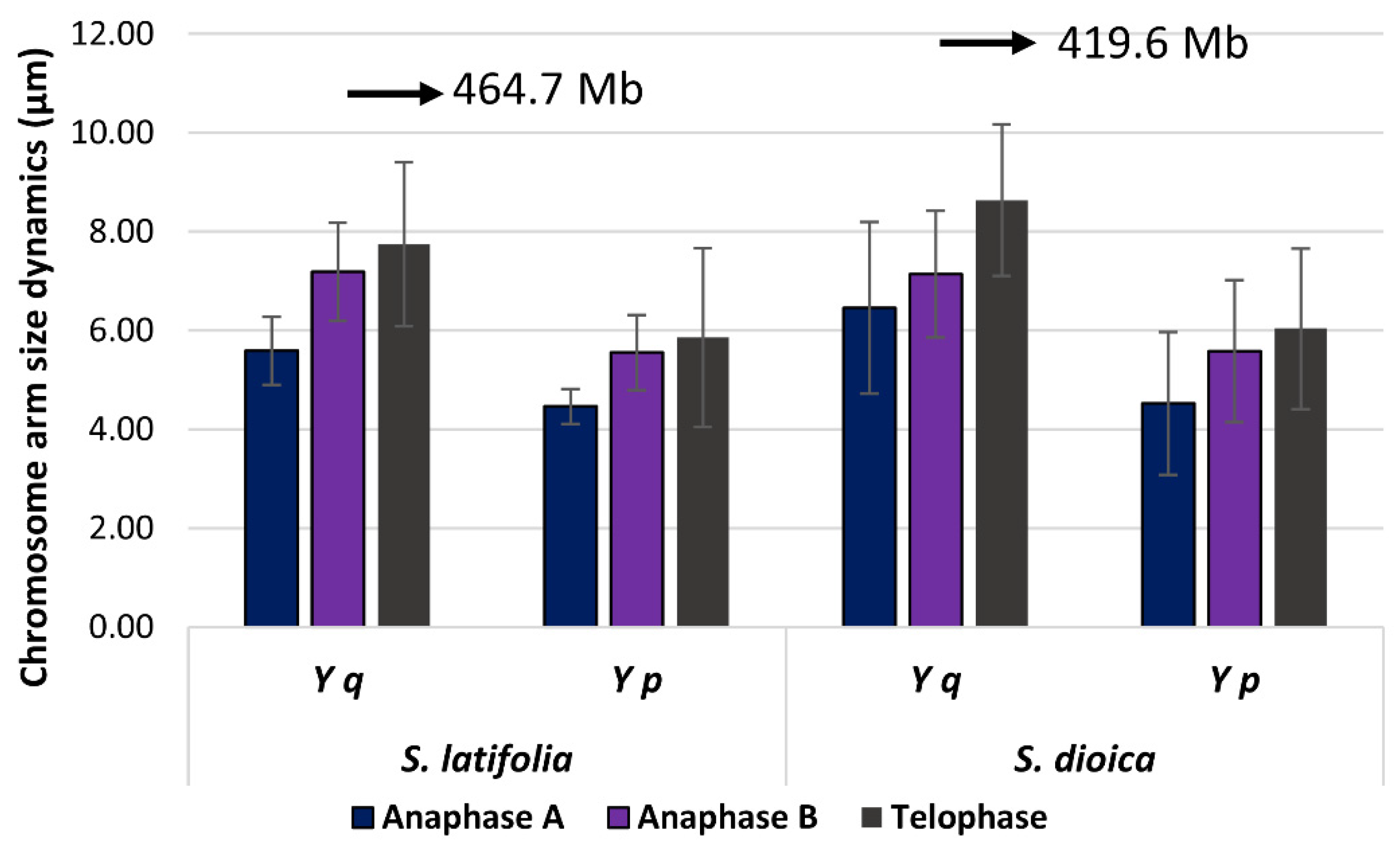 Ijms 23 02422 g004 Ijms 23 02422 g004
