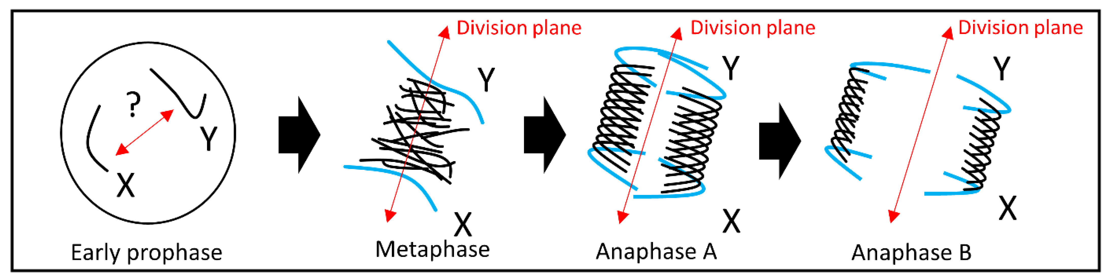 Ijms 23 02422 g005 Ijms 23 02422 g005