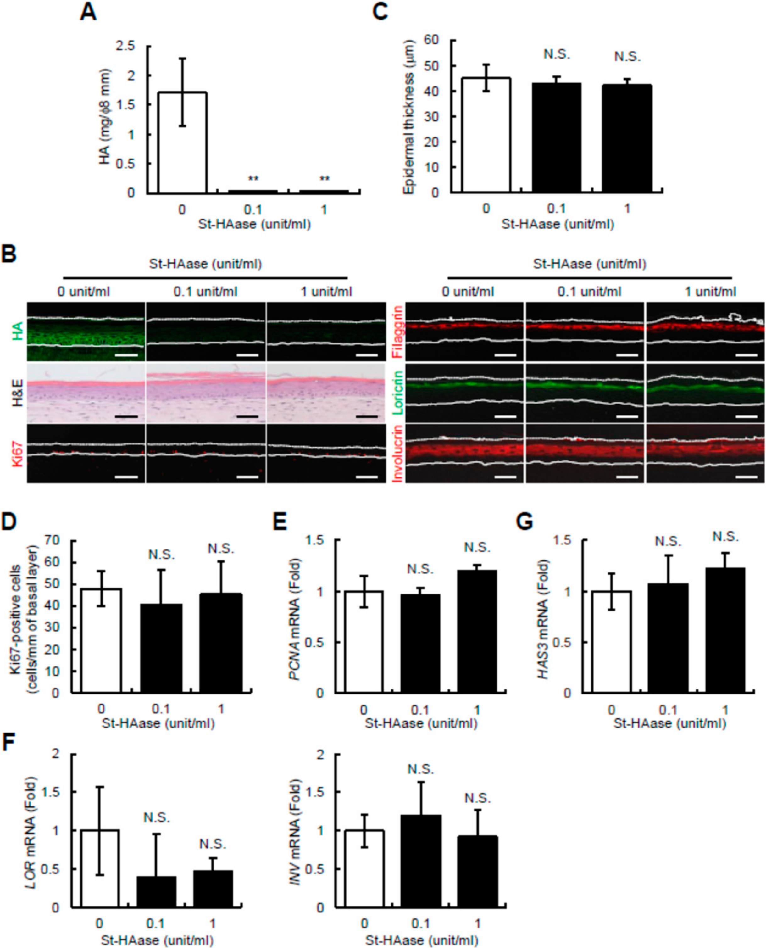 Ijms 23 02424 g001 550
