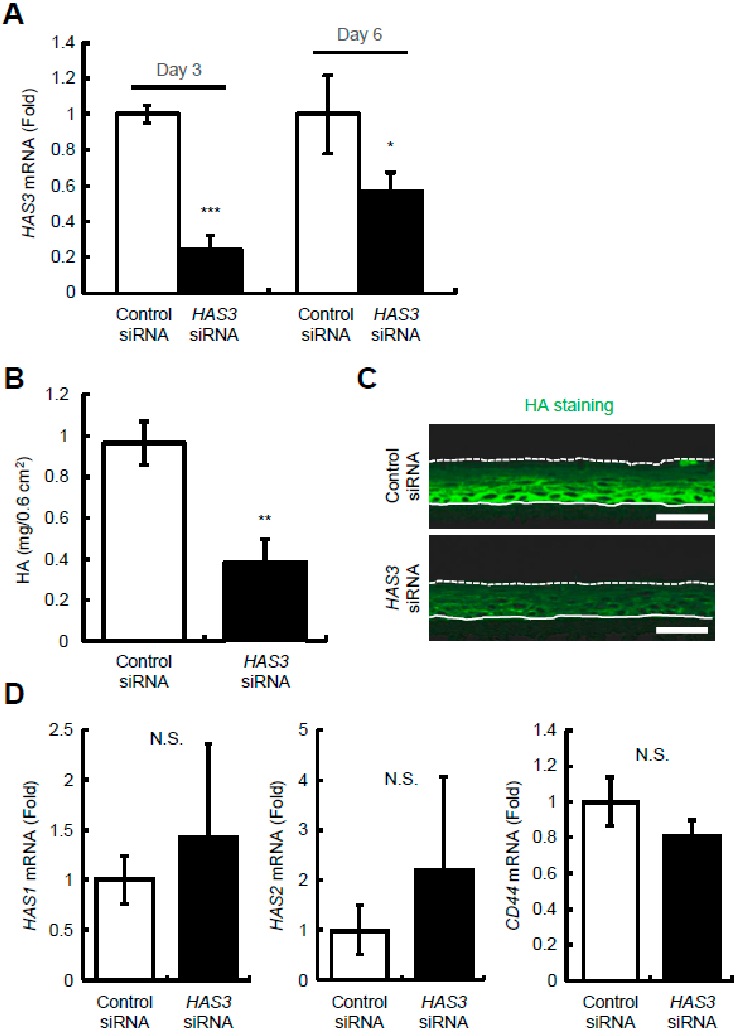 Ijms 23 02424 g003 550