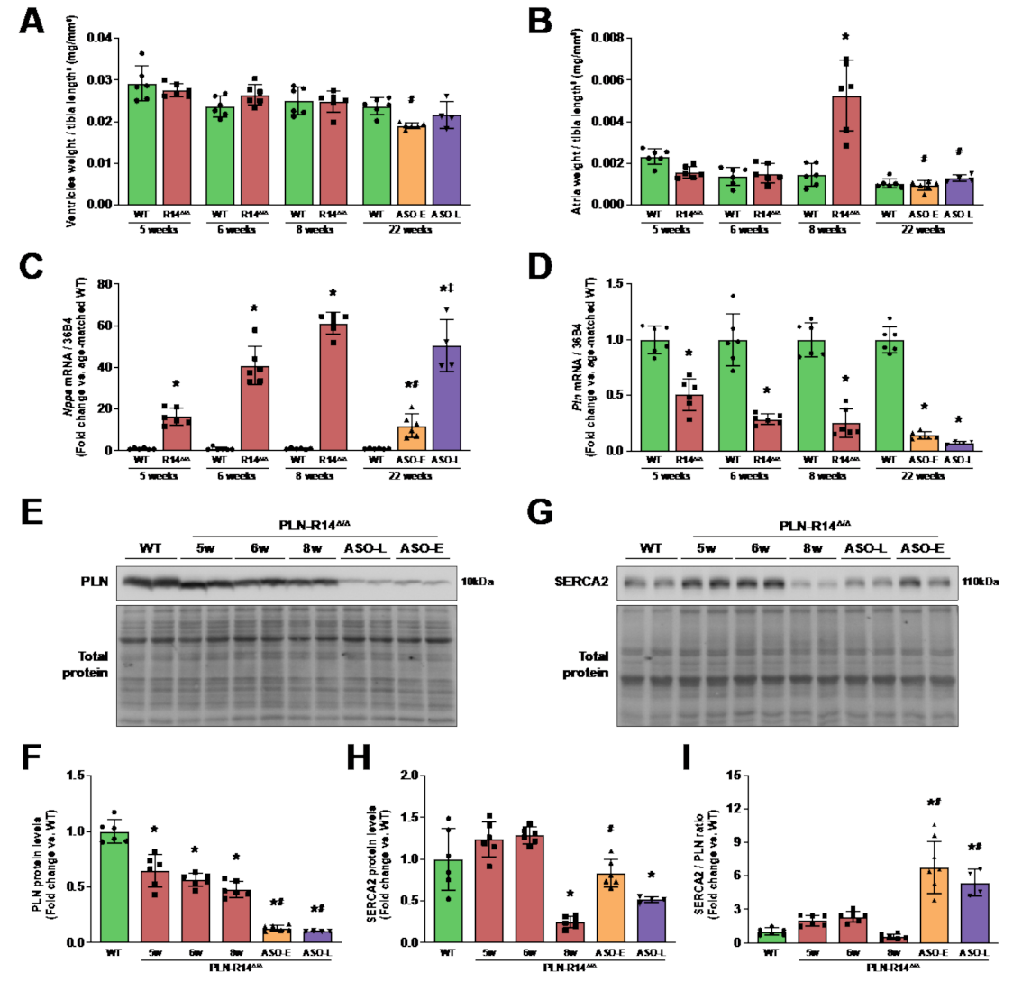 Ijms 23 02427 g003 550