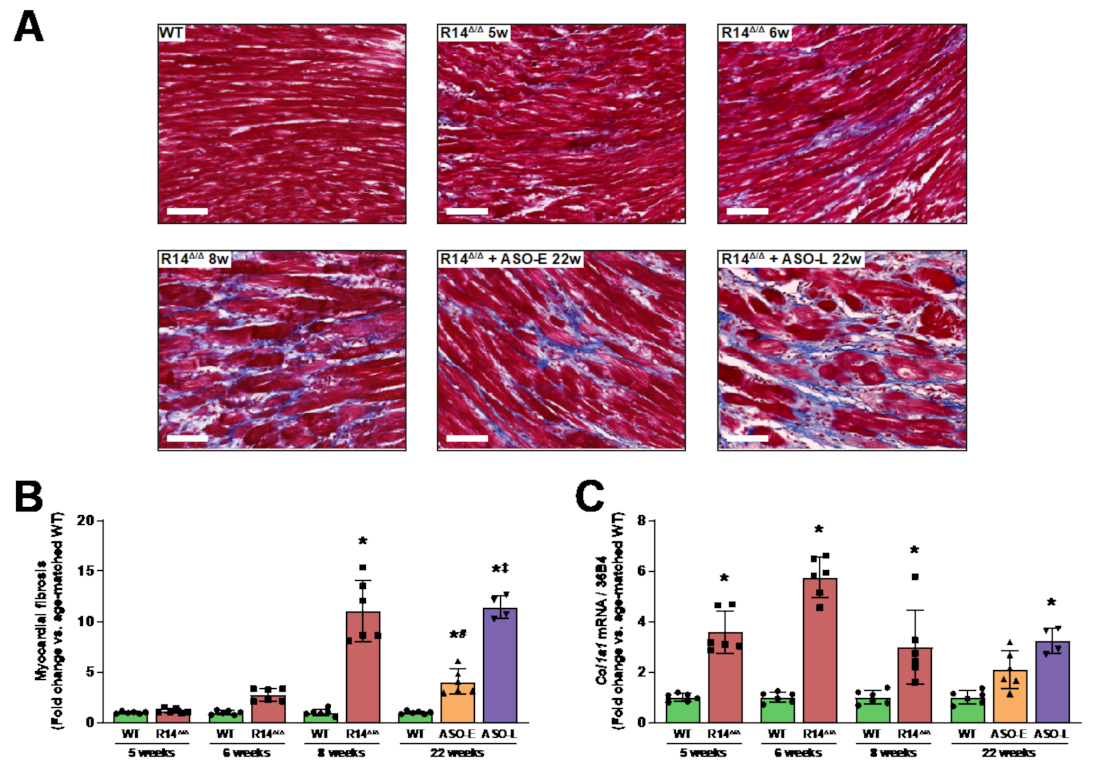 Ijms 23 02427 g004 550