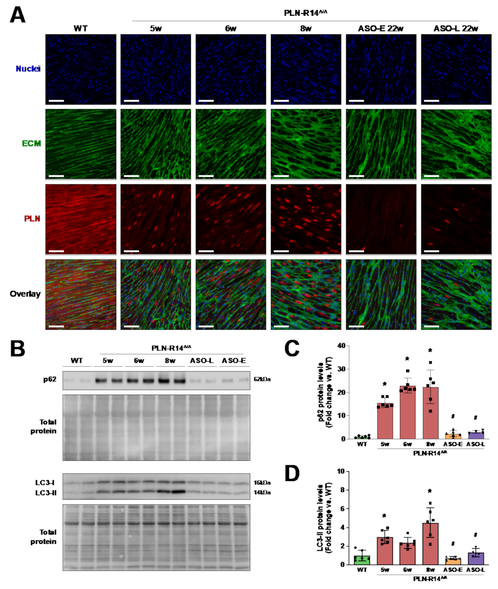 Ijms 23 02427 g005 550