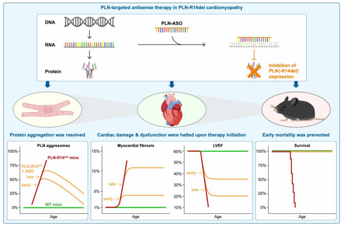 Ijms 23 02427 g006 550