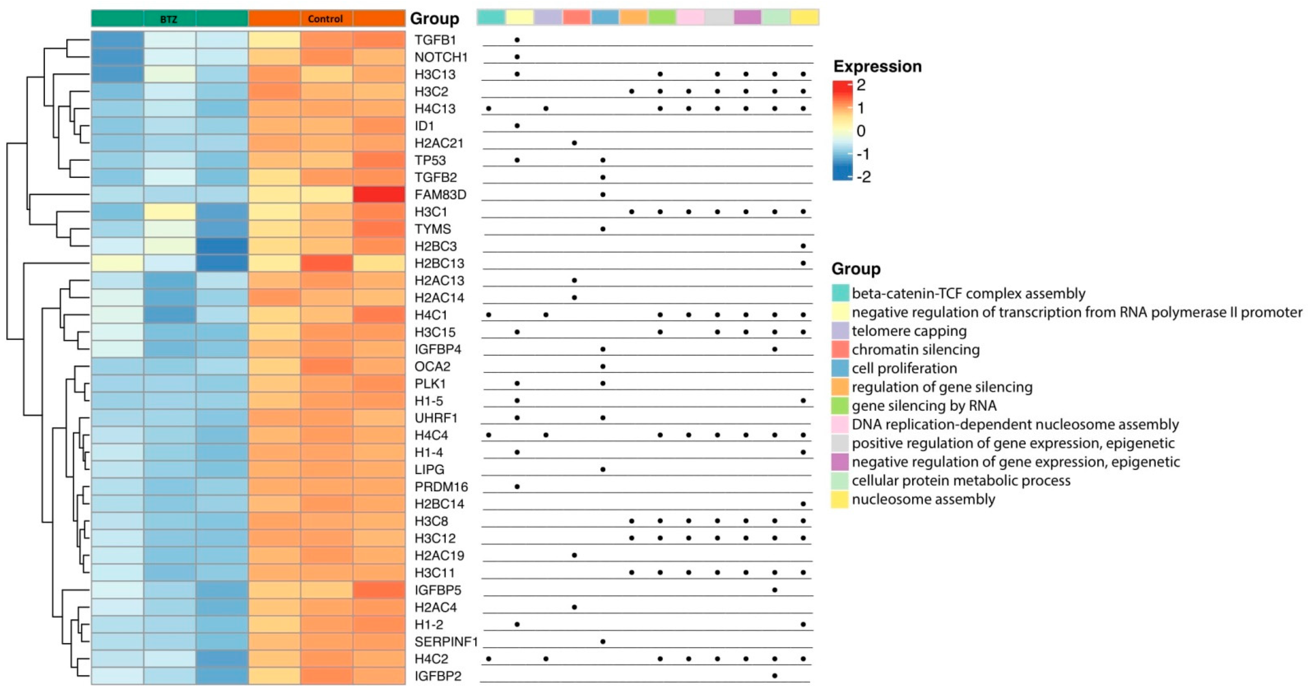 Ijms 23 02431 g003 Ijms 23 02431 g003