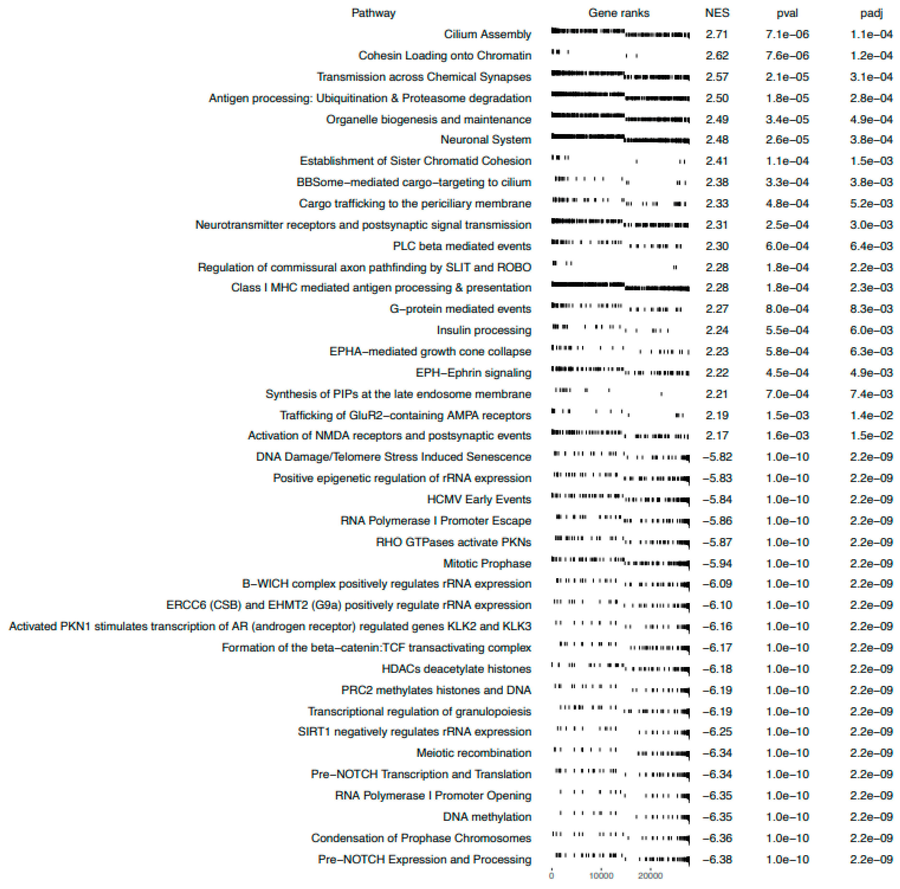 Ijms 23 02431 g004 Ijms 23 02431 g004