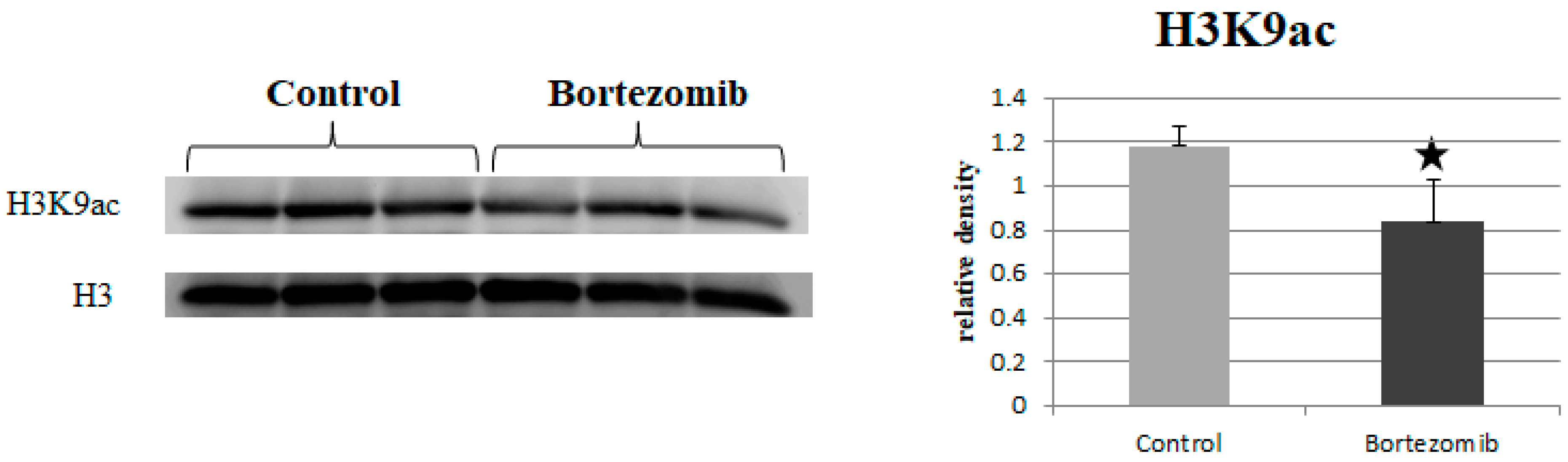 Ijms 23 02431 g008 Ijms 23 02431 g008