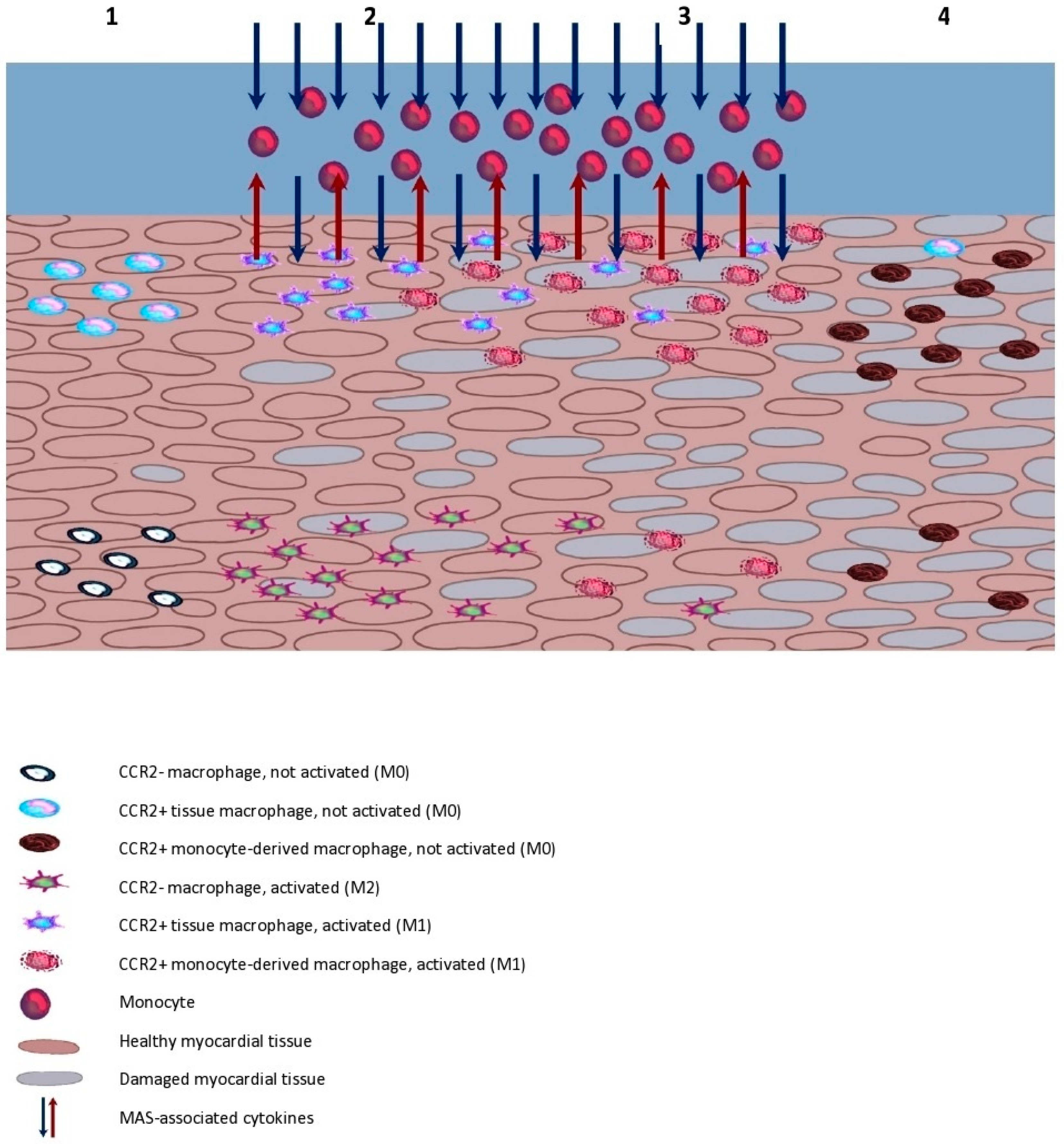 Ijms 23 02433 g001 Ijms 23 02433 g001