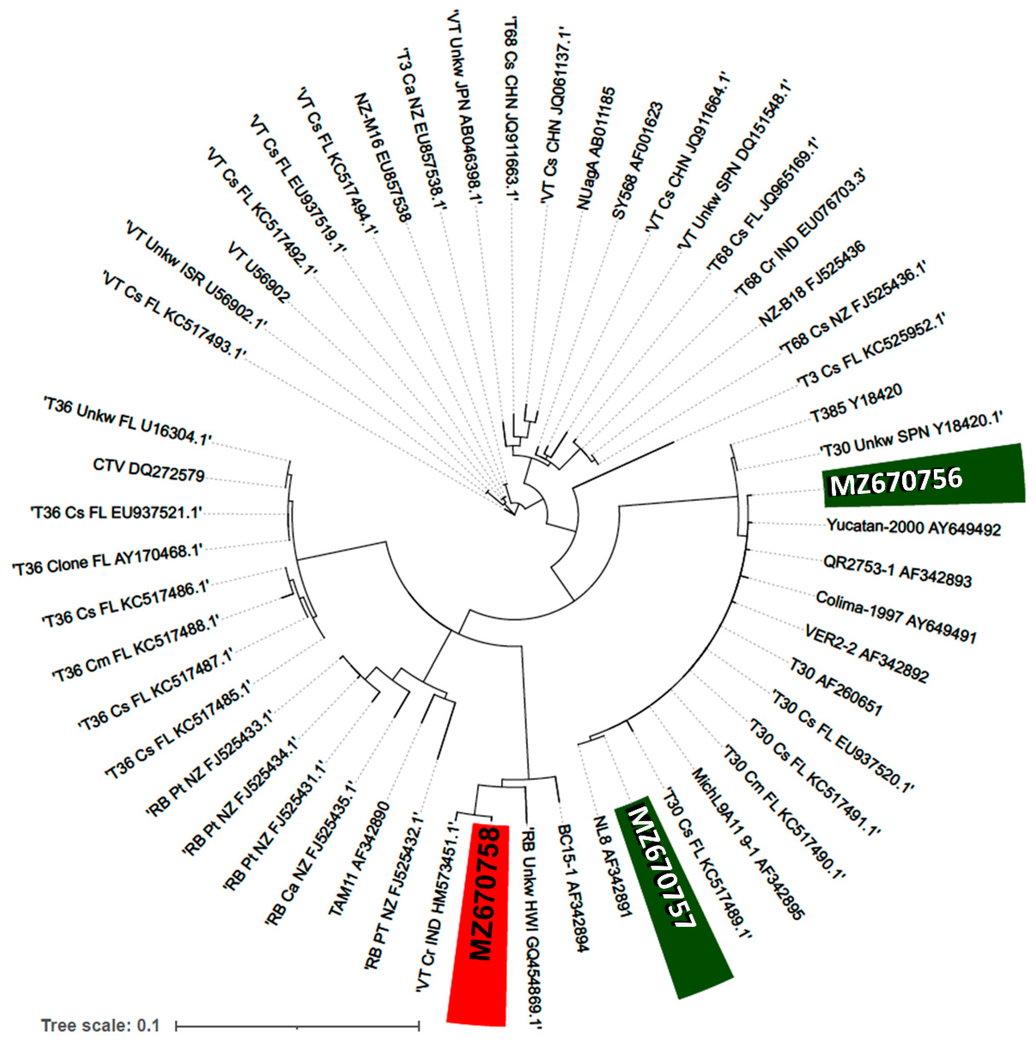 Ijms 23 02435 g003 550