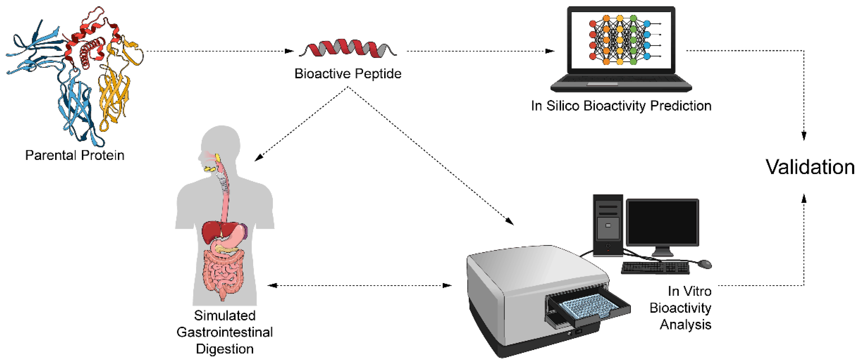 Ijms 23 02439 g001 550