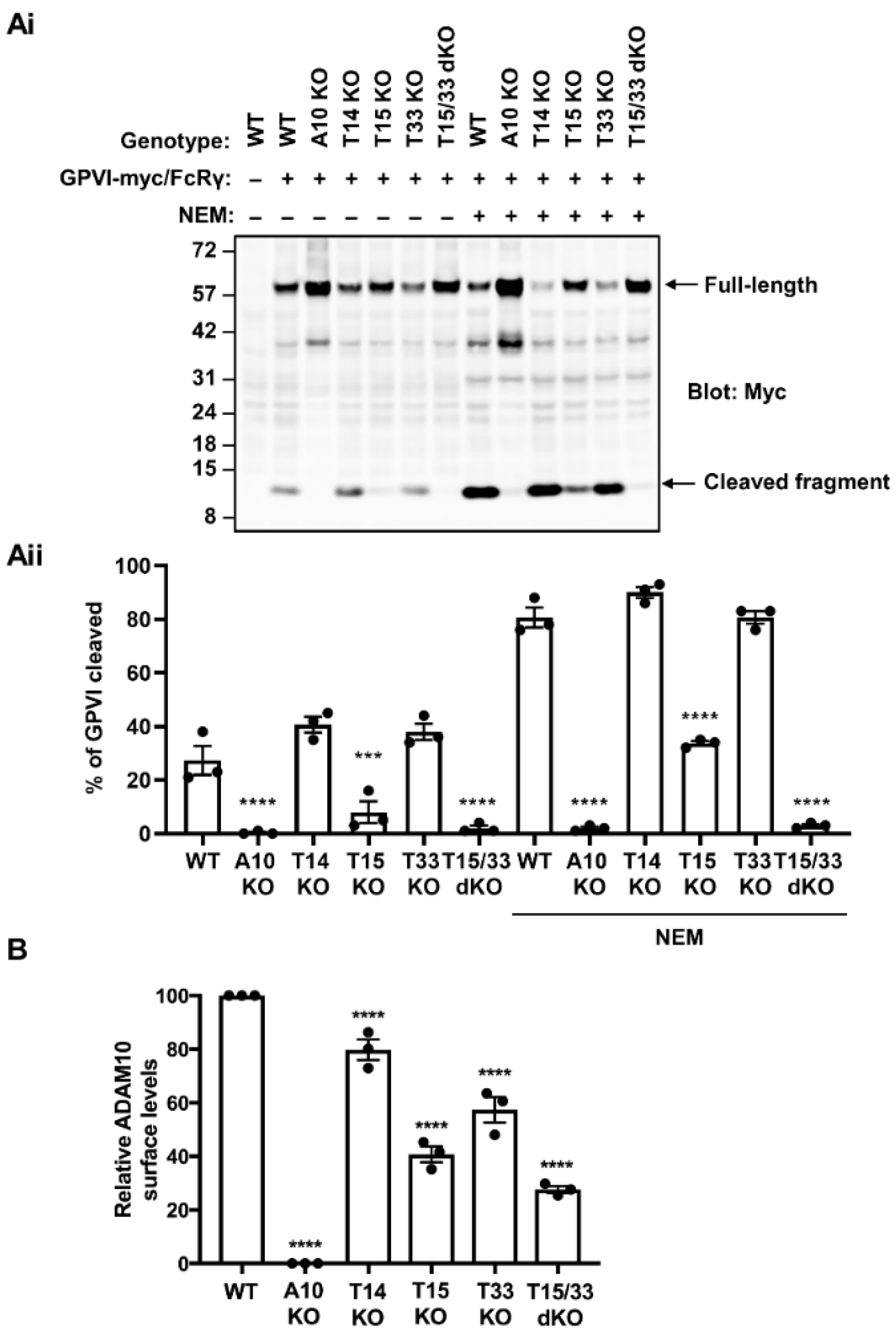 Ijms 23 02440 g001 550